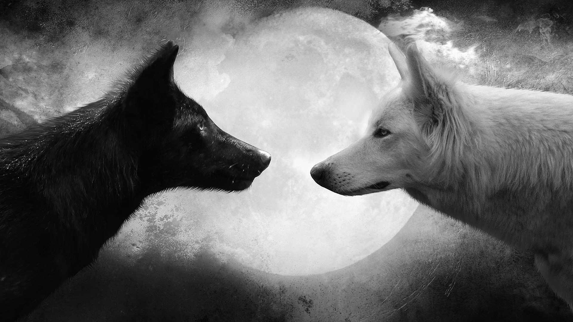 wolves, animal, wolf, moon