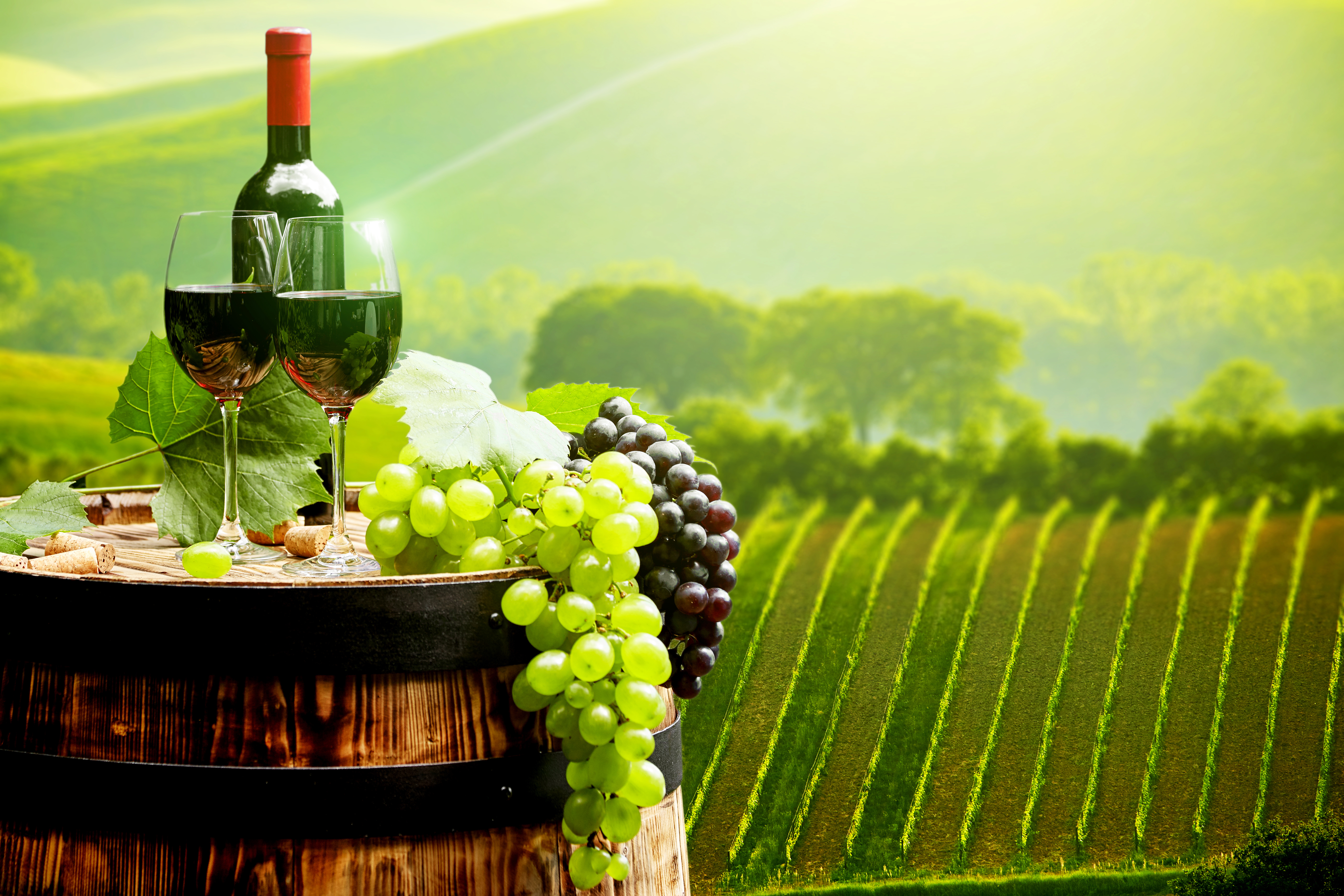 Free download wallpaper Nature, Food, Grapes, Still Life, Glass, Vineyard, Wine on your PC desktop