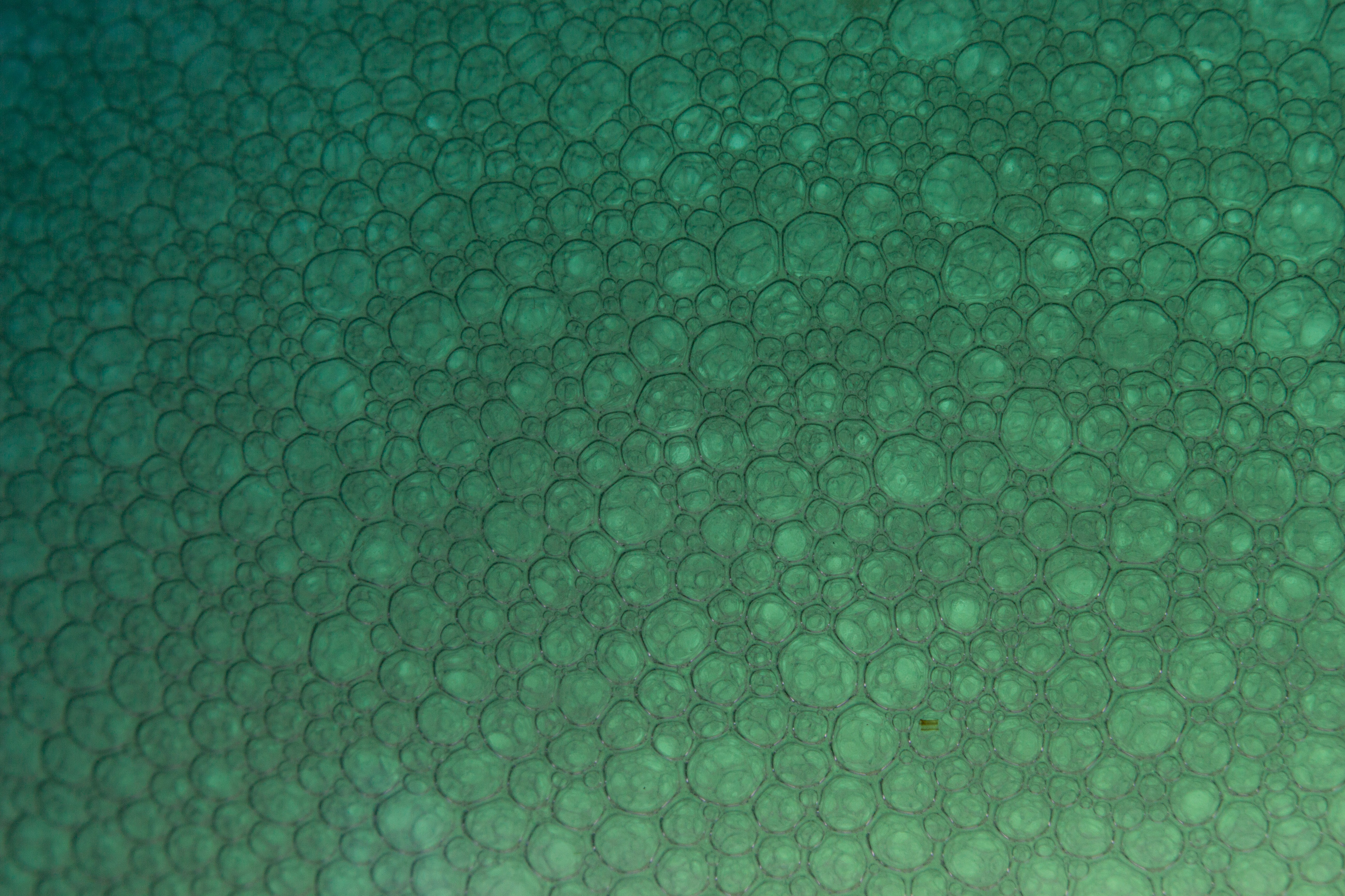 bubbles, abstract, pattern, particles