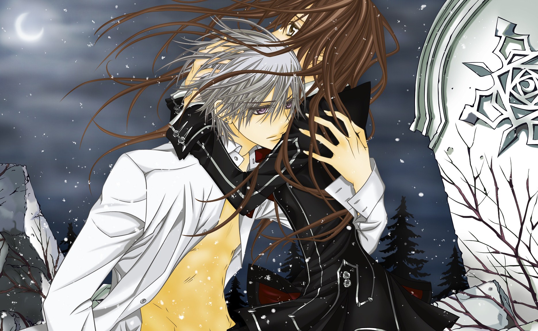 Download mobile wallpaper Vampire Knight, Anime for free.