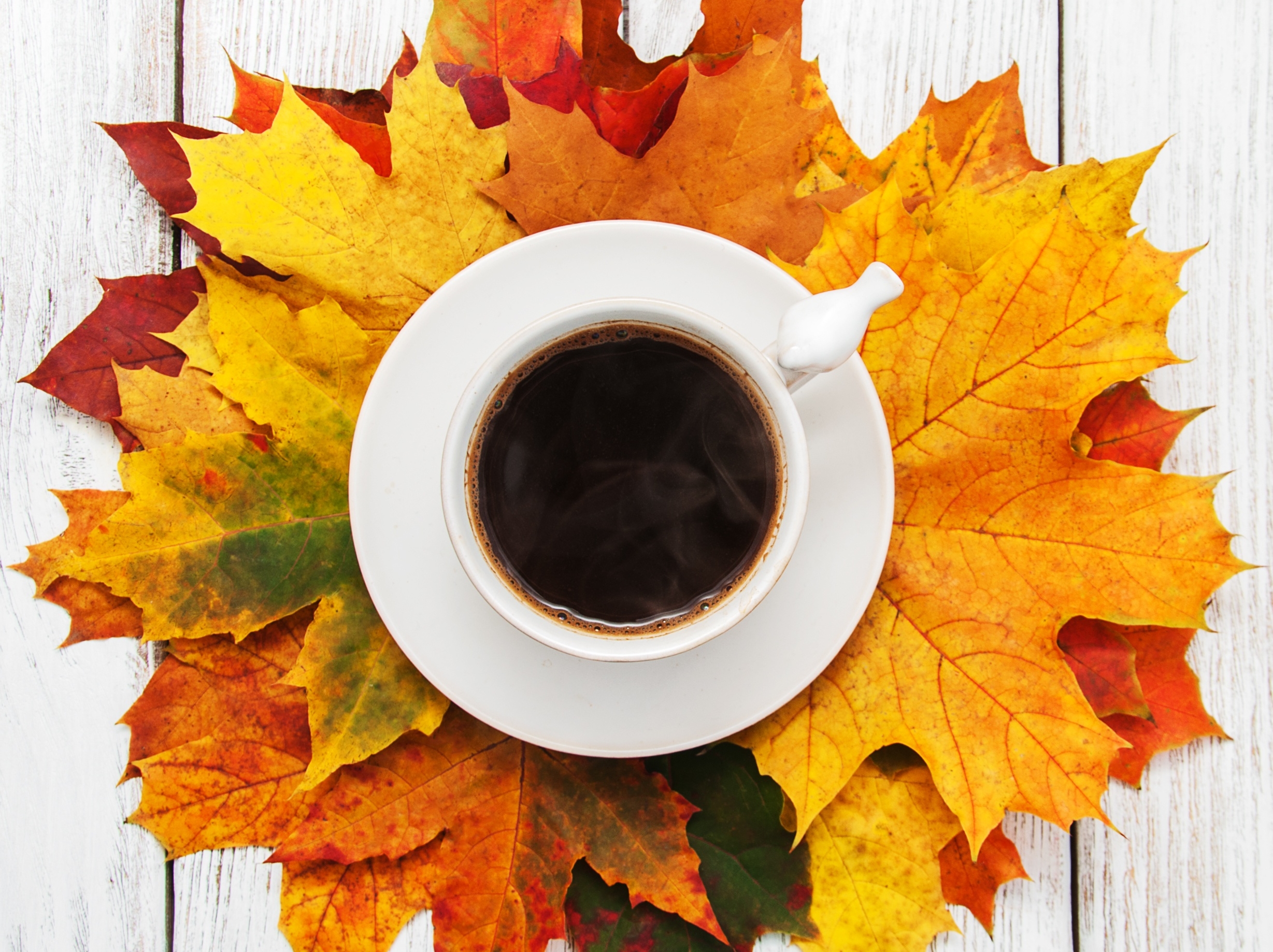 Download mobile wallpaper Food, Coffee, Cup, Leaf, Drink for free.