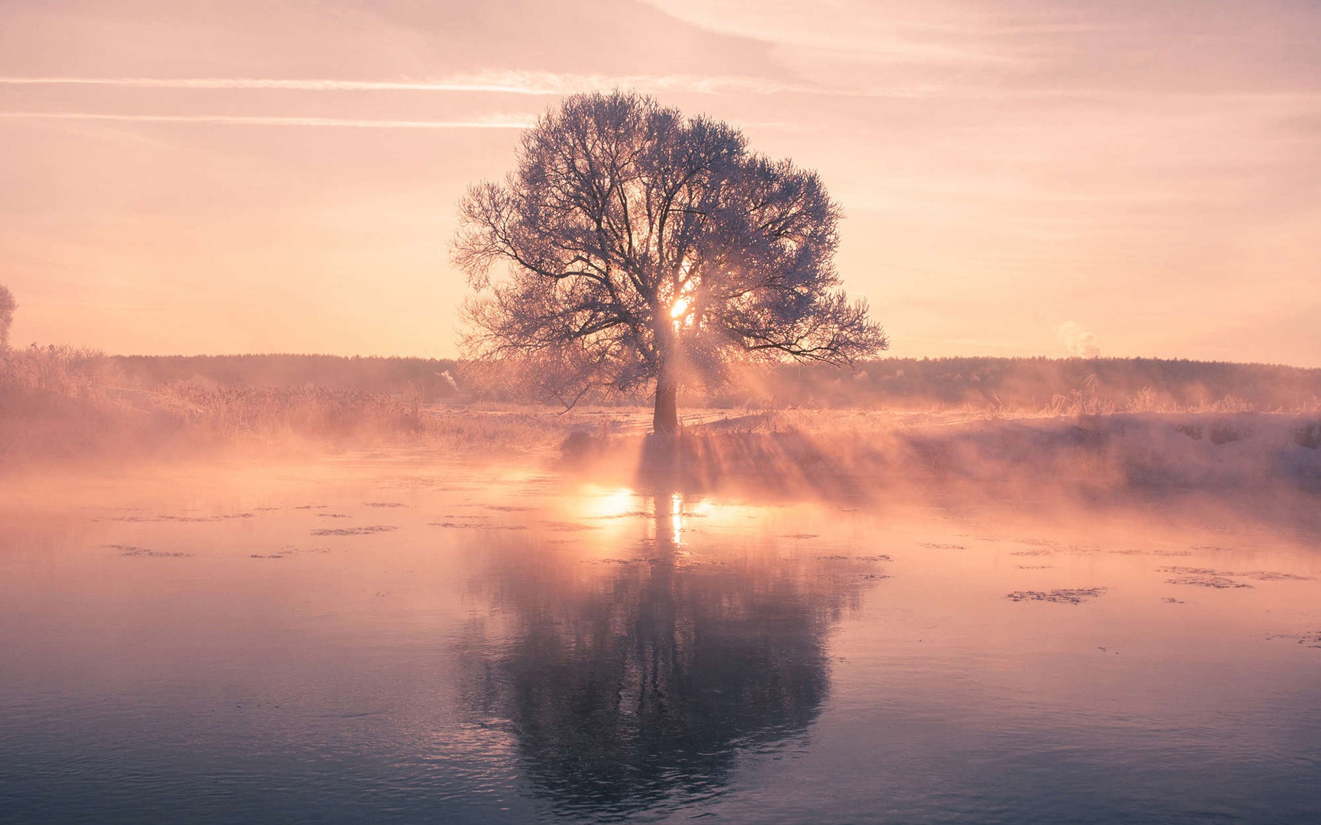 Free download wallpaper Nature, Trees, Reflection, Tree, Sunrise, Earth, Sunbeam on your PC desktop