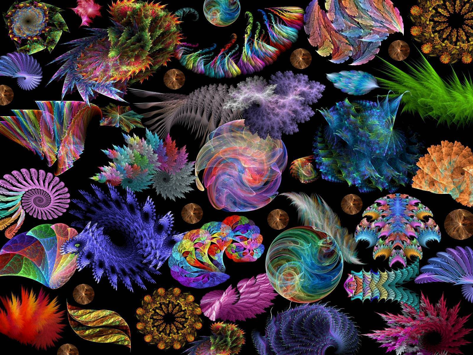 Download mobile wallpaper Abstract, Fractal, Colors, Colorful, Shell for free.