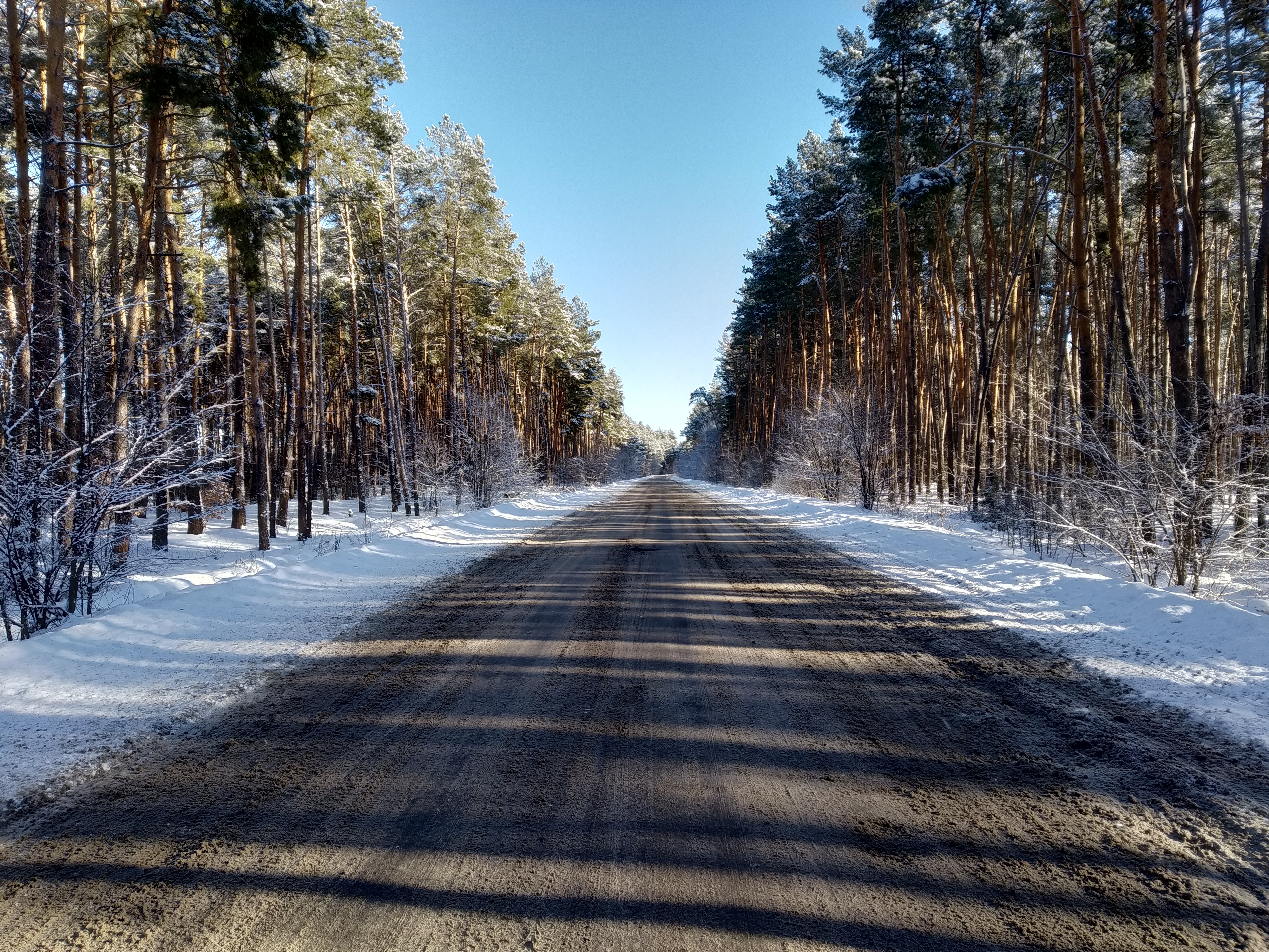 Descarga gratuita de fondo de pantalla para móvil de Invierno, Naturaleza, Bosque, Carretera, Hecho Por El Hombre.