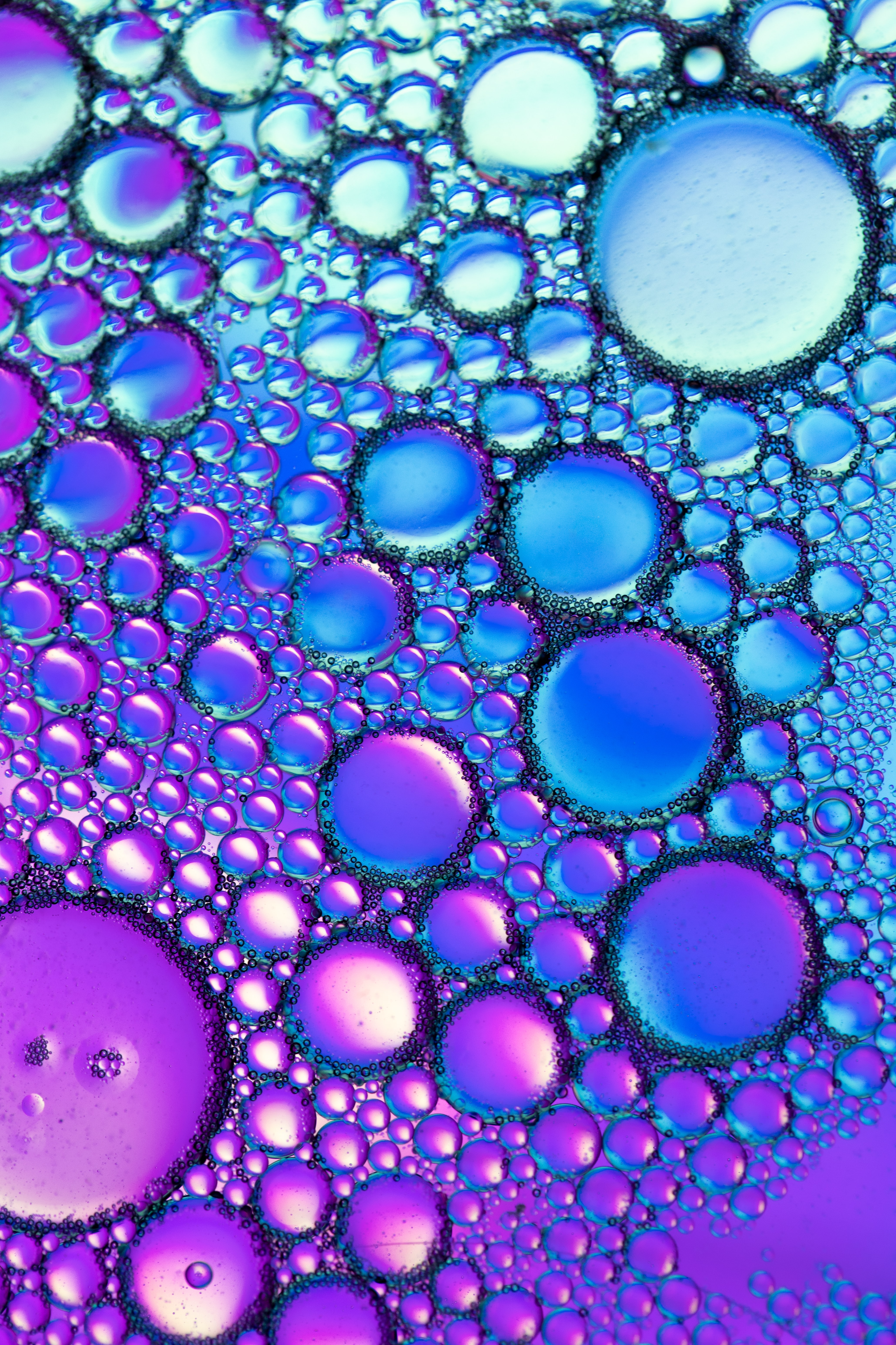 69364 скачать обои жидкость, пузыри, фиолетовый, синий, макро, масло - заставки и картинки бесплатно