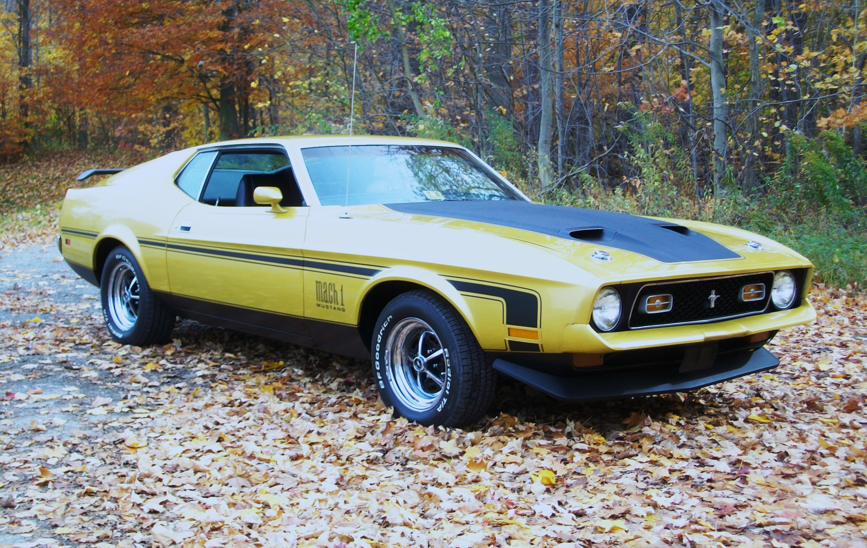 vehicles, ford mustang mach 1, fastback, muscle car, yellow car, ford