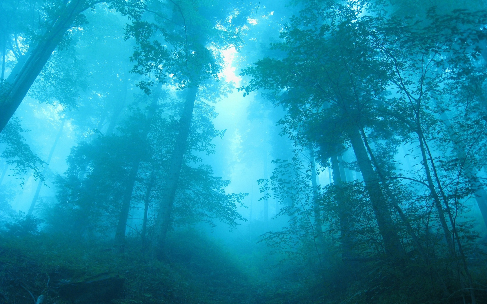 Téléchargez gratuitement l'image Brouillard, Terre/nature sur le bureau de votre PC