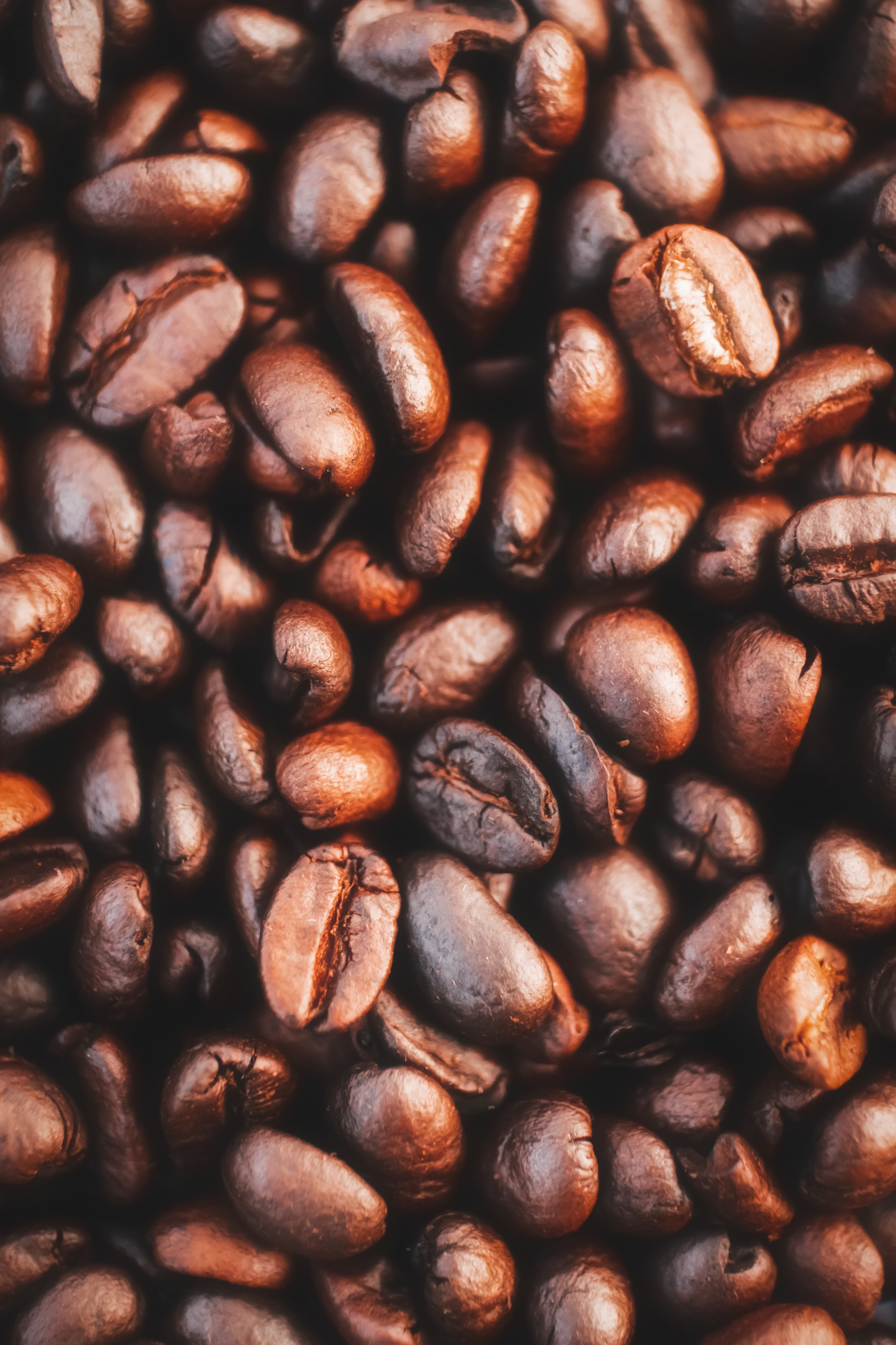 food, coffee, macro, grains, coffee beans, grain iphone wallpaper