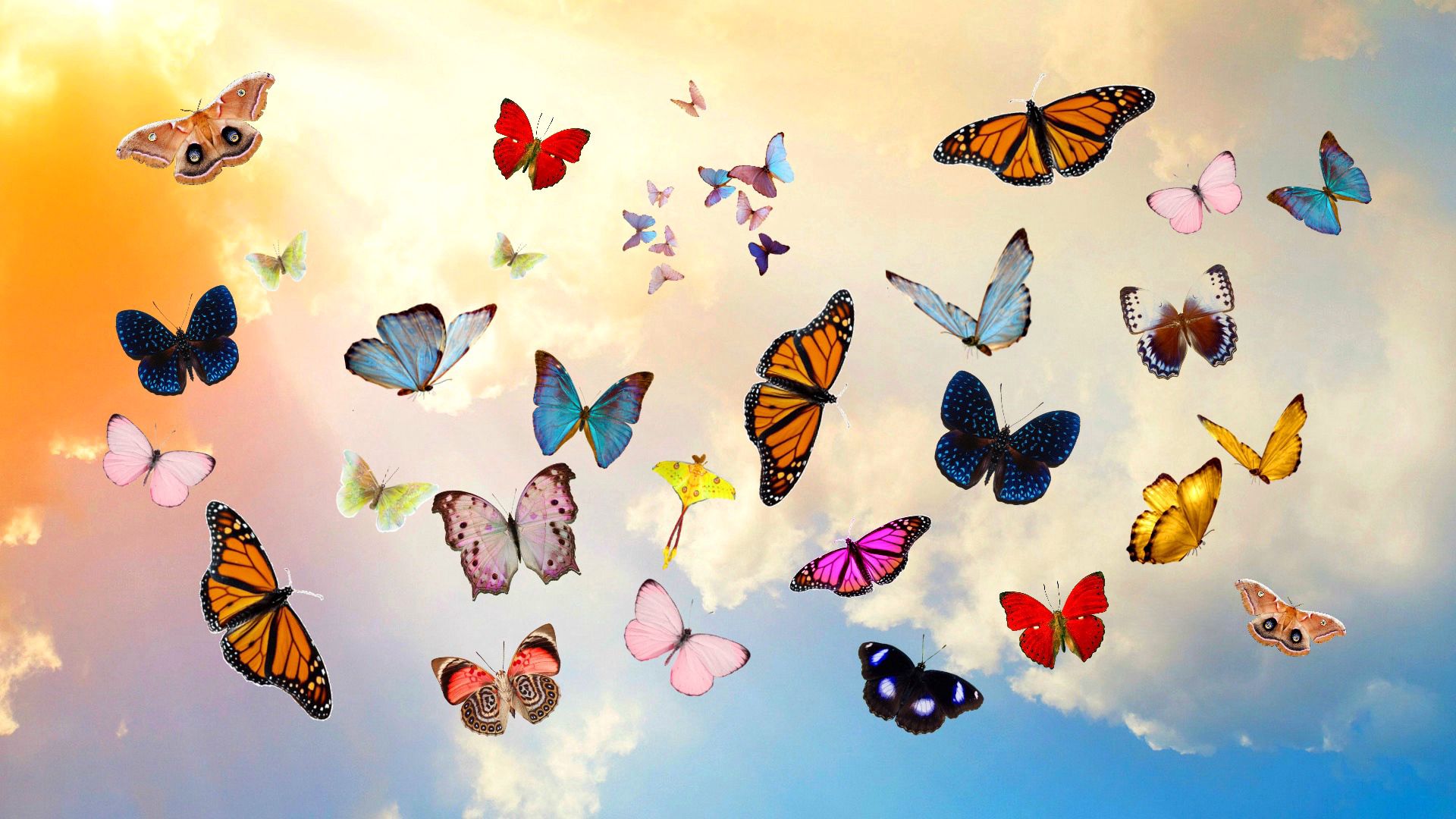 97275 скачать картинку бабочки, разное, фотошоп, коллаж, небо - обои и заставки бесплатно