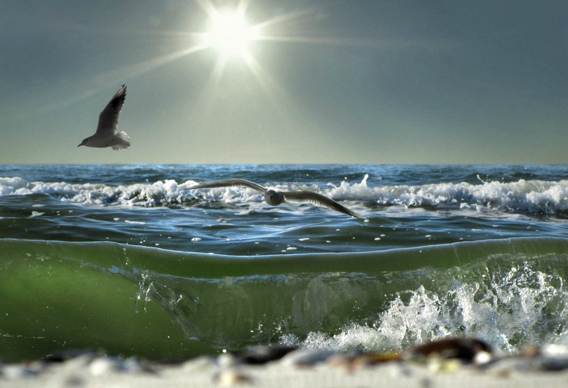 Descarga gratuita de fondo de pantalla para móvil de Ola, Tierra/naturaleza.