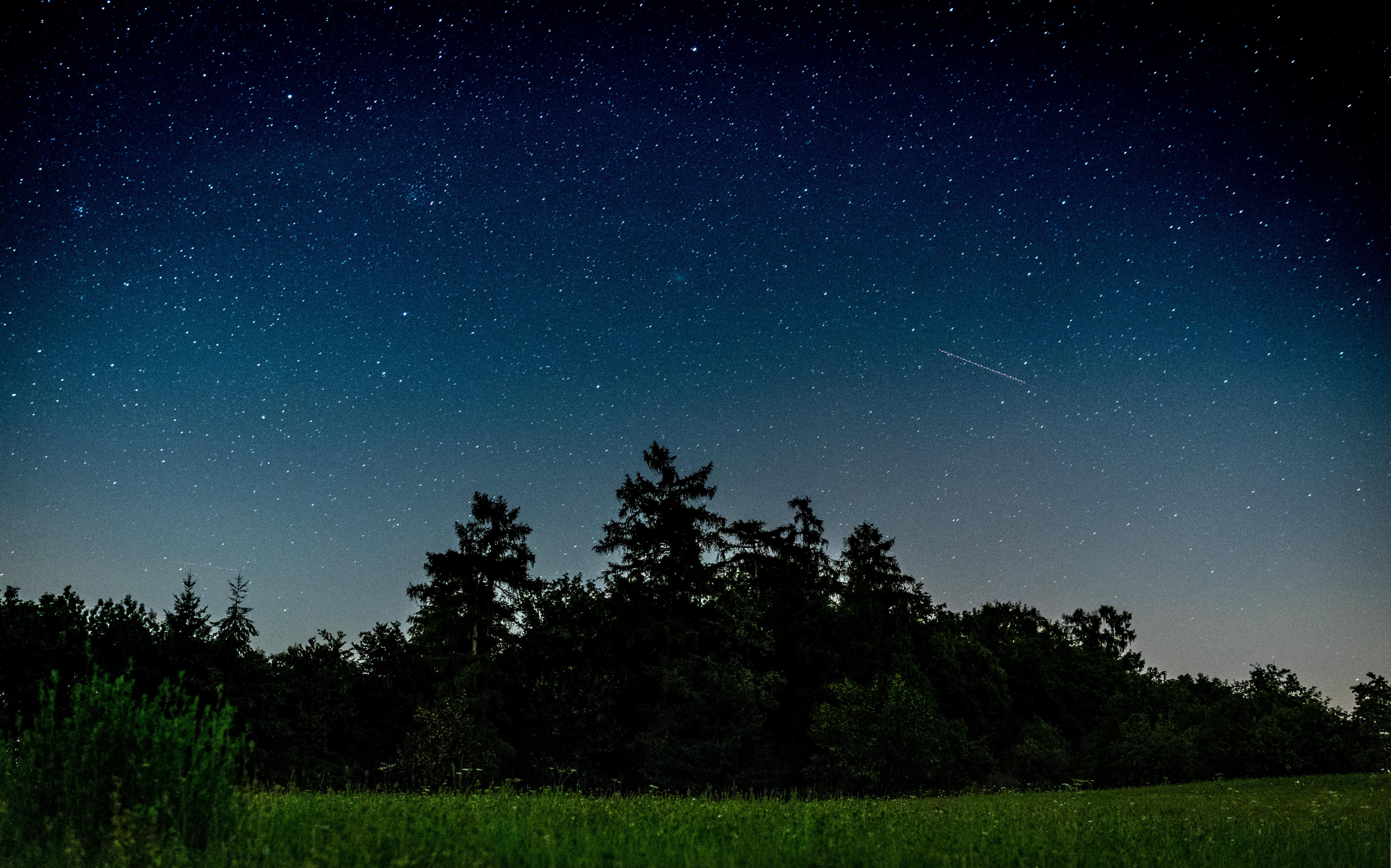 Download mobile wallpaper Field, Nature, Trees, Night, Starry Sky for free.