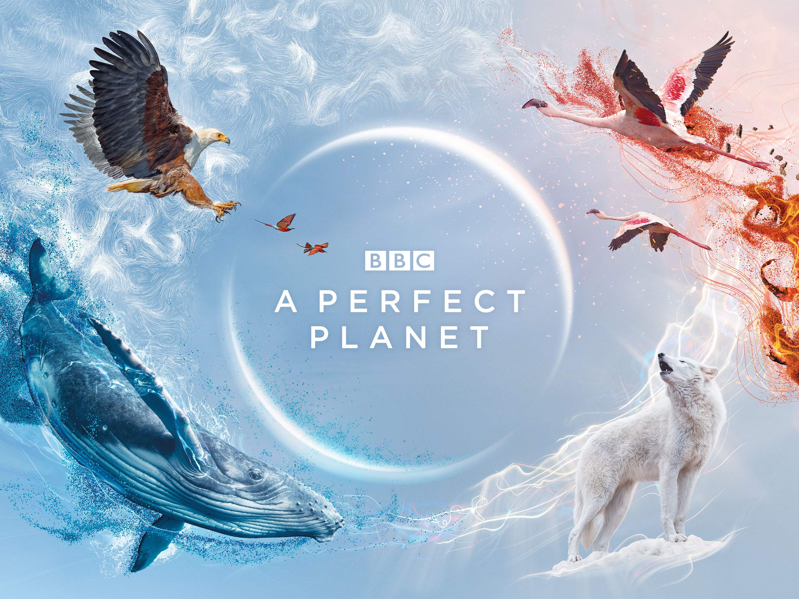 tv show, a perfect planet
