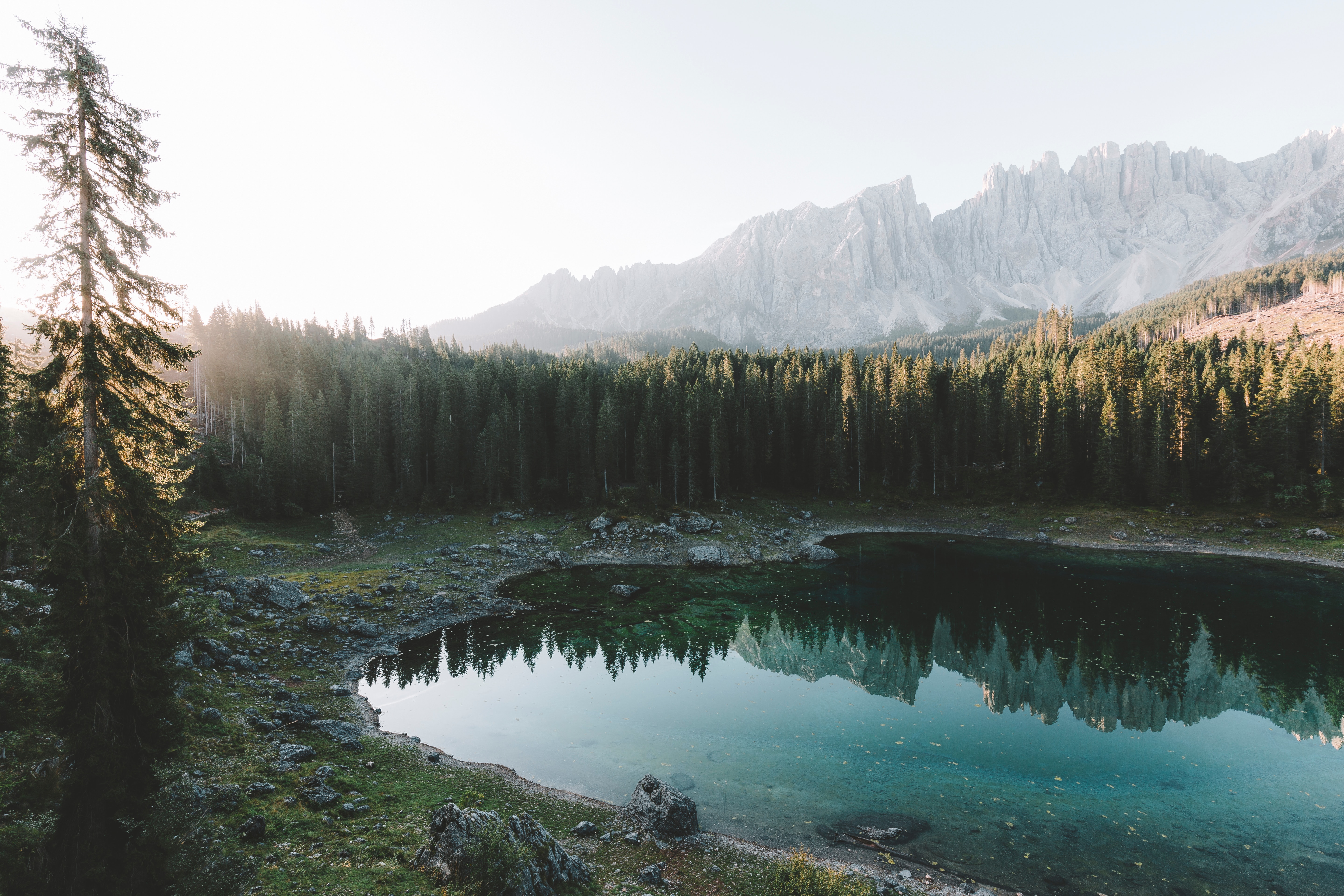 Laden Sie das See, Bank, Wald, Natur, Ufer, Mountains, Landschaft-Bild kostenlos auf Ihren PC-Desktop herunter
