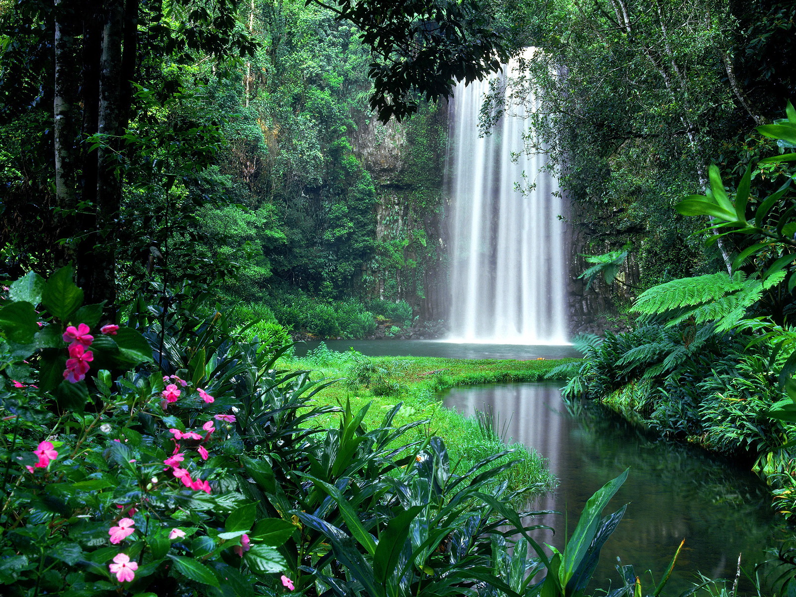 Скачать картинку Вода, Зеленый, Водопад, Водопады, Цветок, Земля/природа в телефон бесплатно.