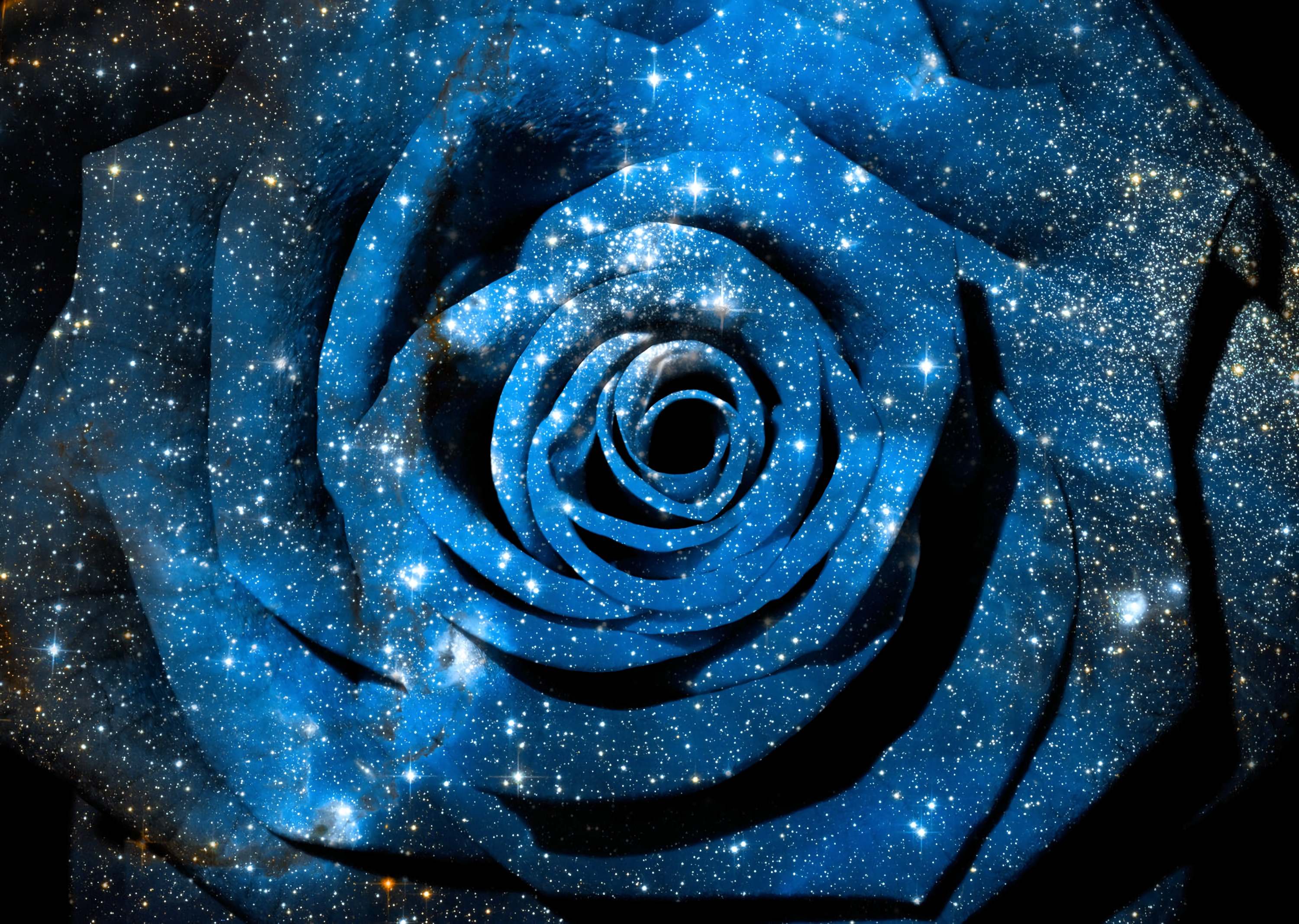 Download mobile wallpaper Flowers, Stars, Flower, Rose, Space, Artistic for free.