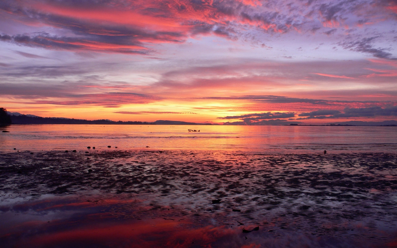 Téléchargez gratuitement l'image Coucher De Soleil, Terre/nature sur le bureau de votre PC