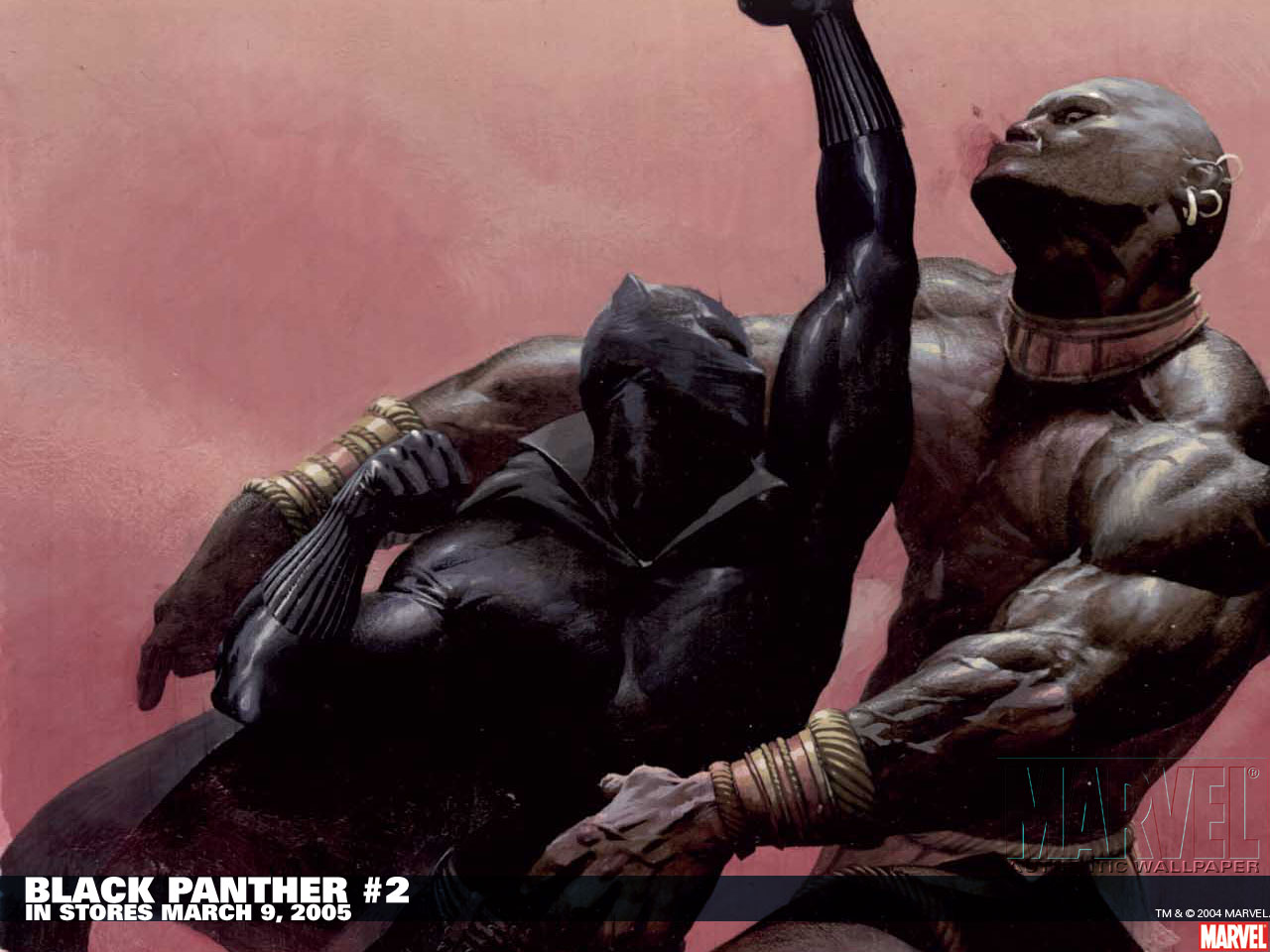 Free download wallpaper Comics, Black Panther (Marvel Comics), Black Panther on your PC desktop