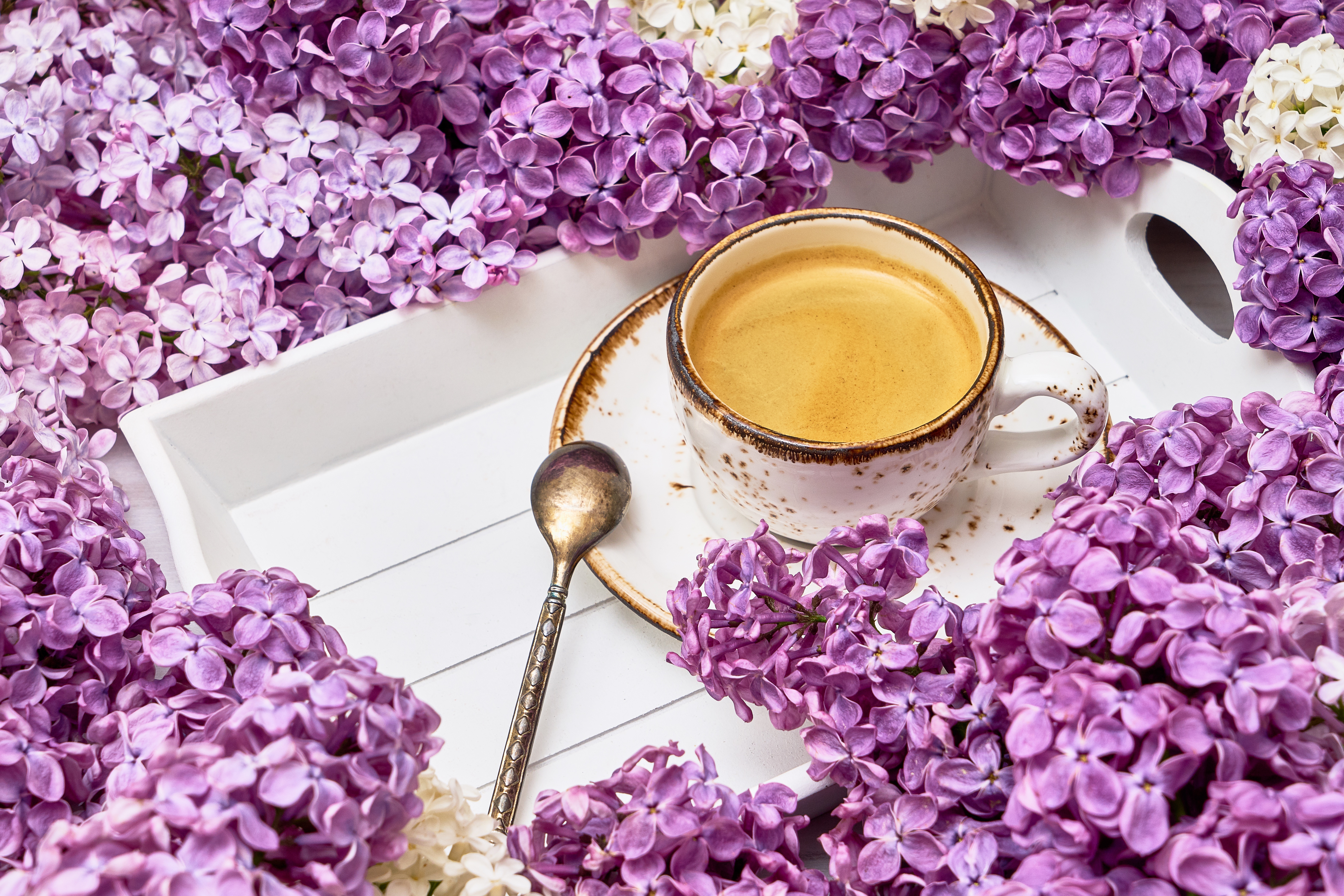 Download mobile wallpaper Food, Lilac, Coffee, Still Life, Flower, Cup, Pink Flower for free.