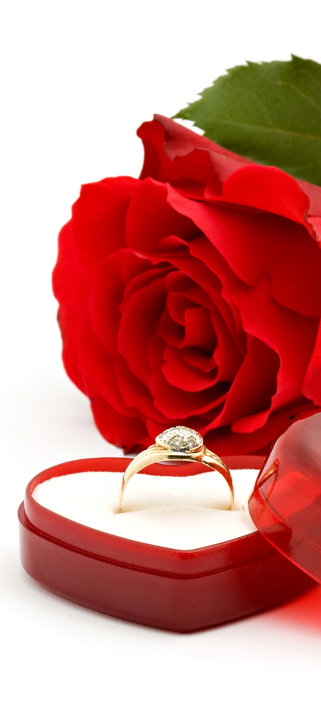 Handy-Wallpaper Liebe, Rose, Ring, Fotografie, Rote Rose kostenlos herunterladen.