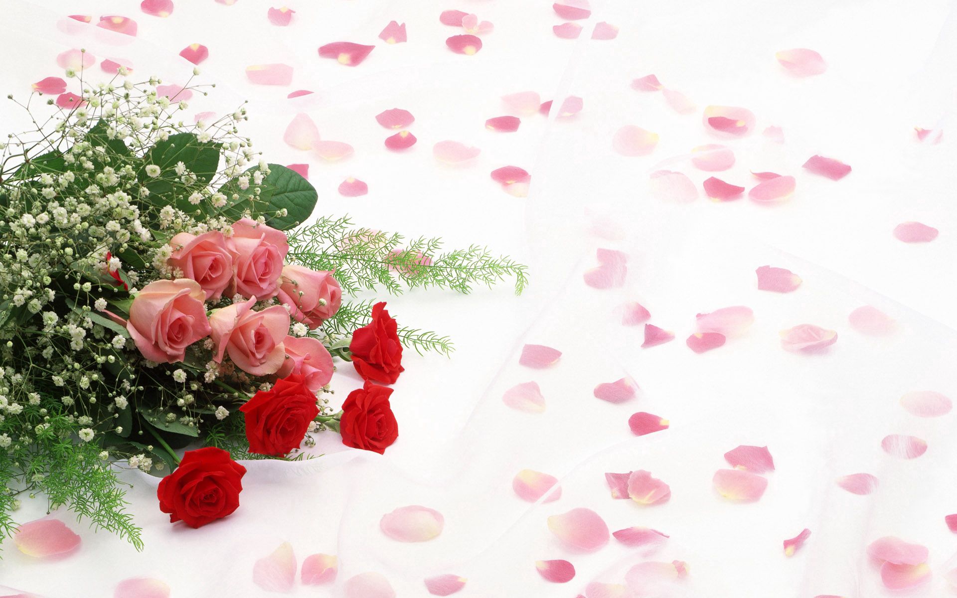 Скачать обои бесплатно Лепестки, Романтика, Розы, Цветы, Букет картинка на рабочий стол ПК