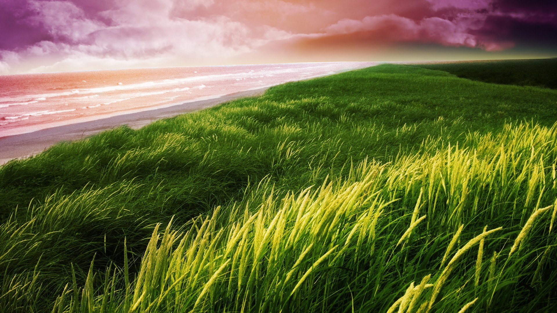 Download mobile wallpaper Landscape, Grass, Sea, Coast, Ocean, Earth, Coastline for free.