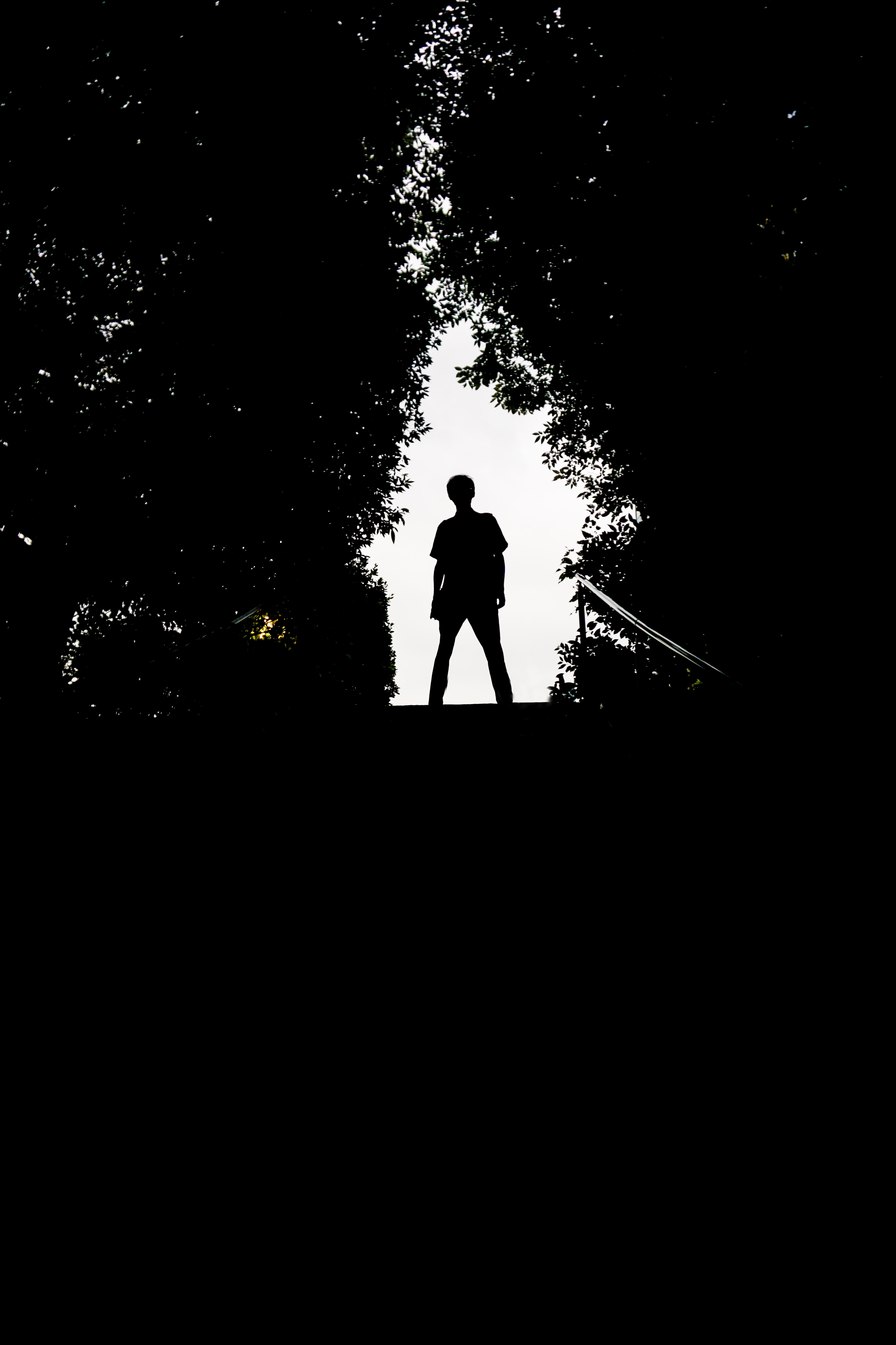Download mobile wallpaper Trees, Person, Human, Silhouette, Dark for free.