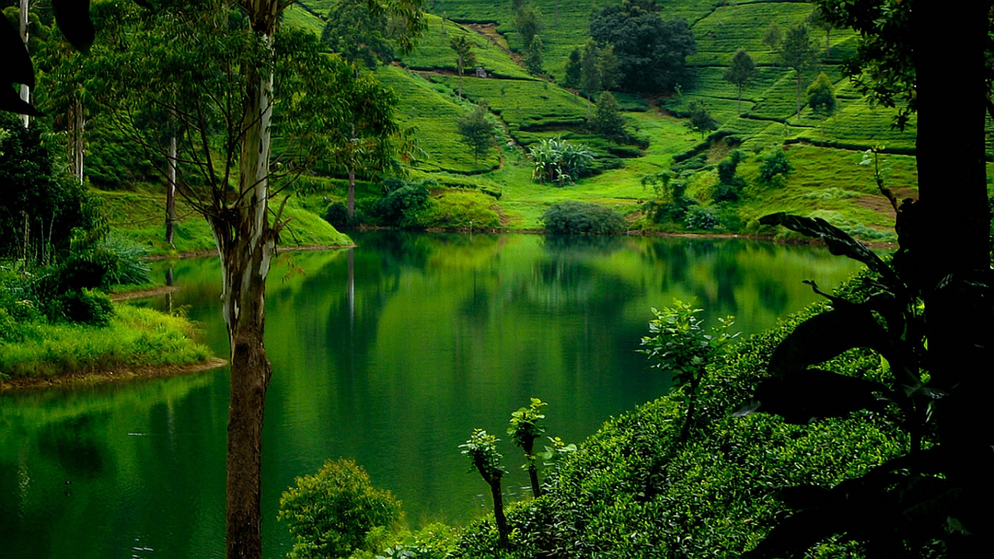 Descarga gratuita de fondo de pantalla para móvil de Pintoresco, Tierra/naturaleza.