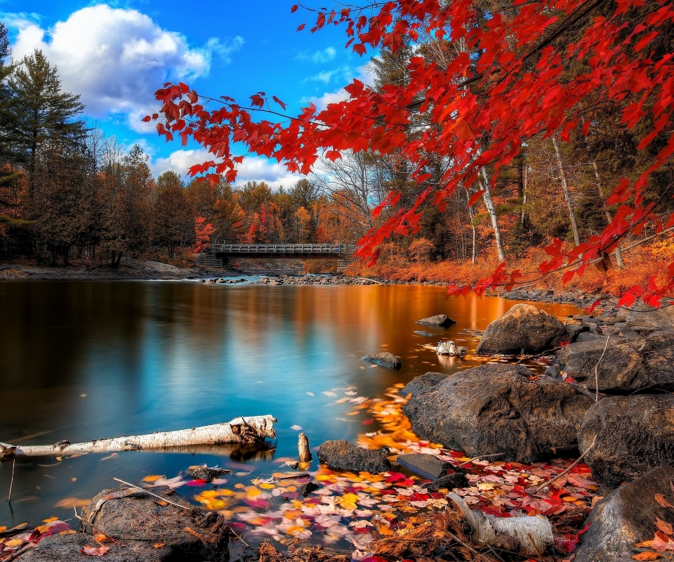 Descarga gratuita de fondo de pantalla para móvil de Naturaleza, Agua, Otoño, Lago, Árbol, Hoja, Puente, Tierra/naturaleza.