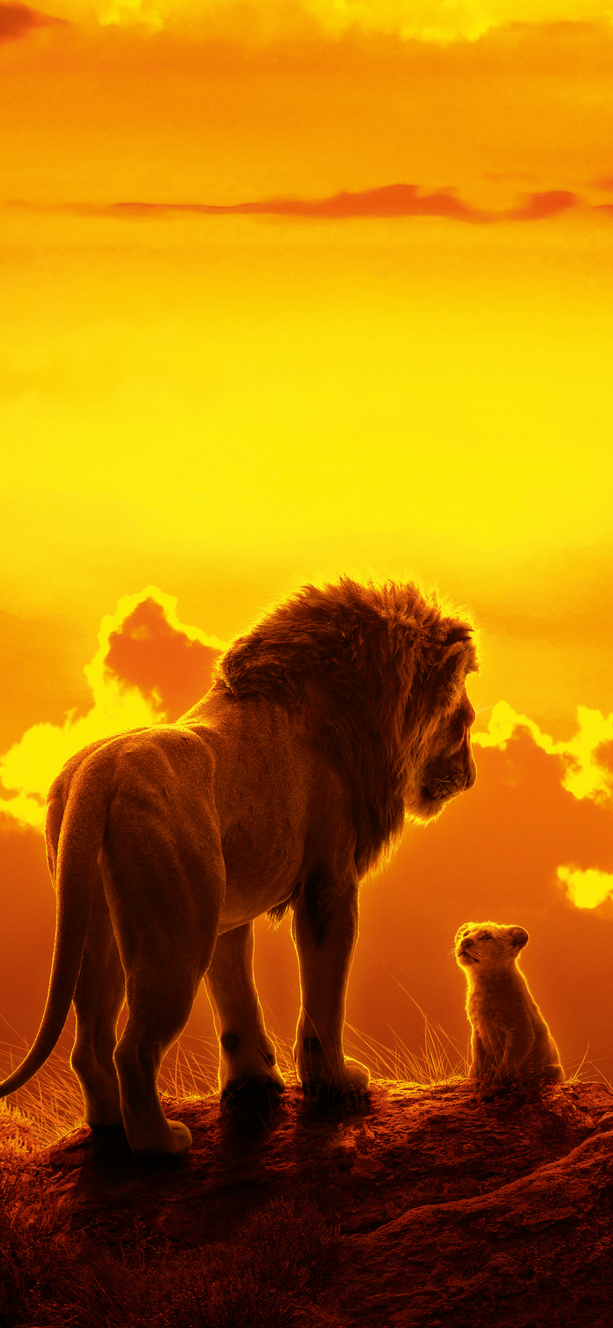 the lion king (2019), mufasa (the lion king), movie, baby animal, lion, simba