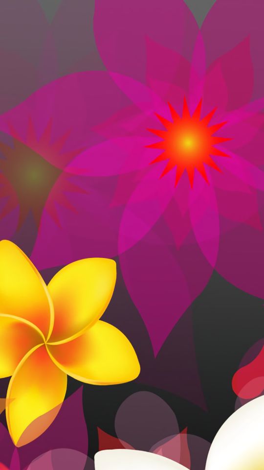 Download mobile wallpaper Flowers, Vector, Flower, Colors, Colorful, Artistic for free.
