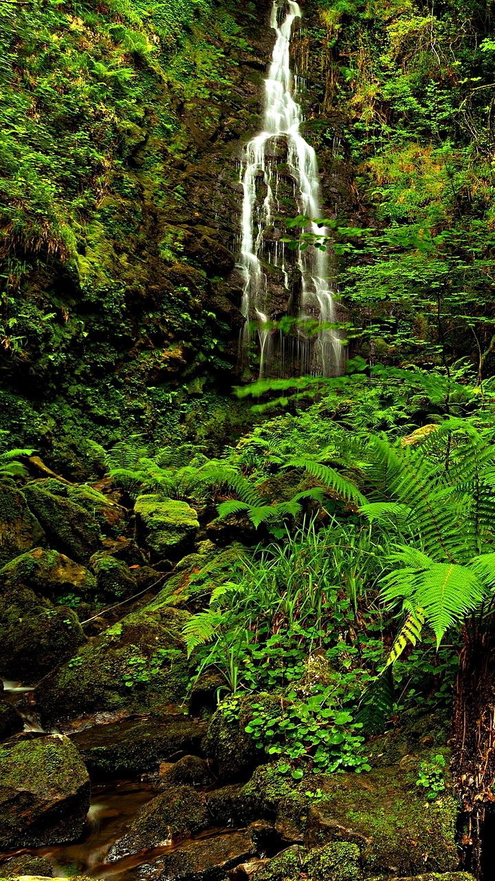 Descarga gratuita de fondo de pantalla para móvil de Cascadas, Cascada, Tierra/naturaleza.