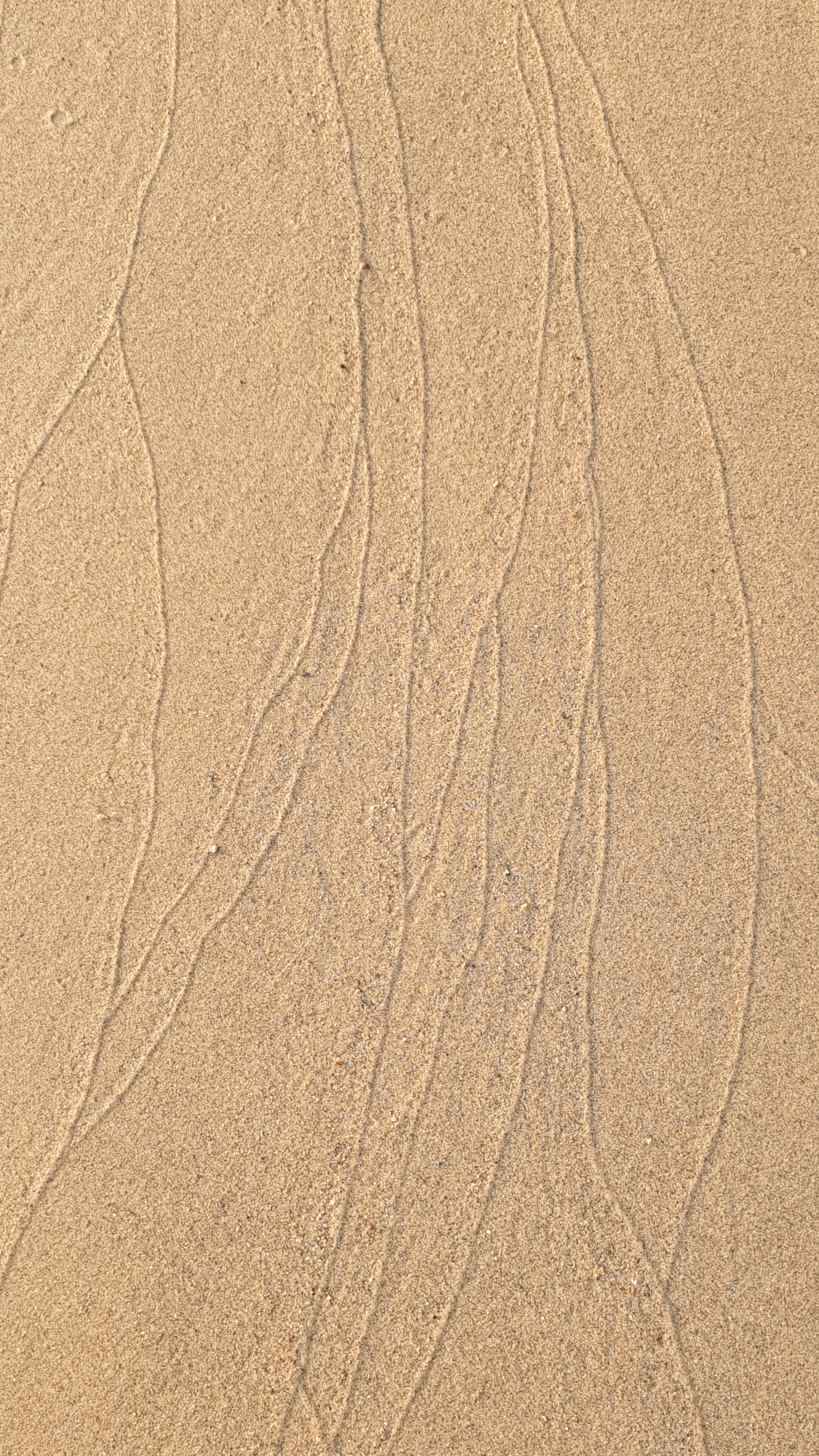 Скачать обои бесплатно Линии, Песчаный, Песок, Следы, Текстуры картинка на рабочий стол ПК