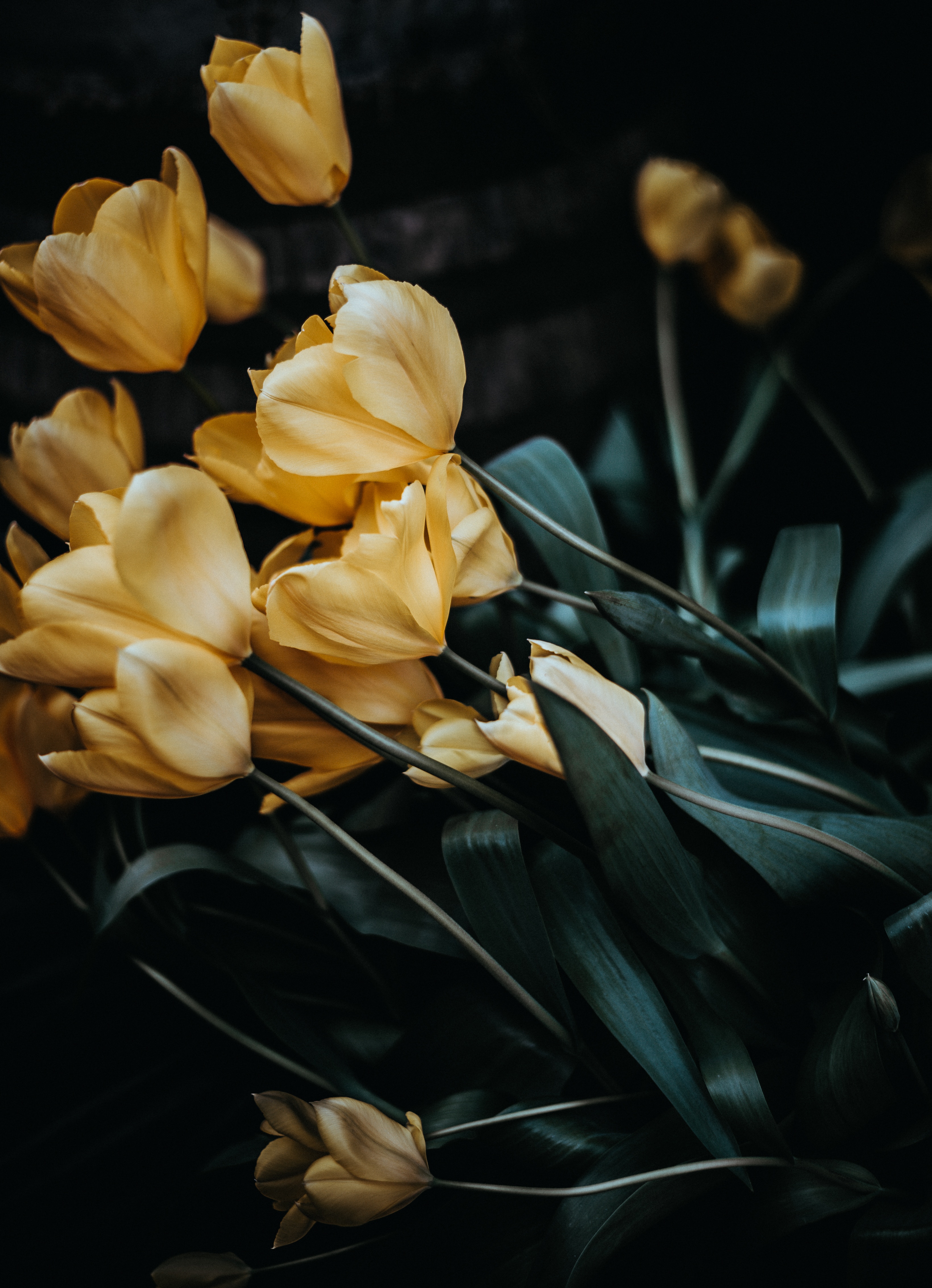 Téléchargez gratuitement l'image Bouquet, Fleurs, Tulipes sur le bureau de votre PC