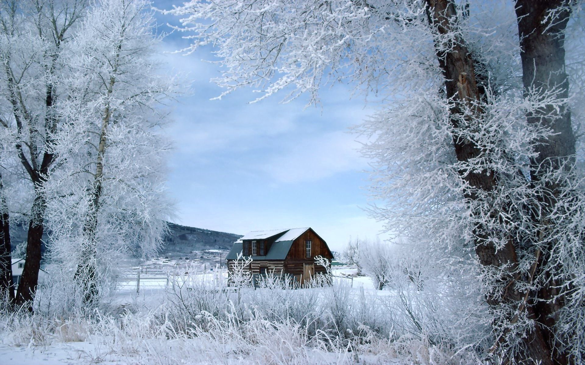 Download mobile wallpaper Hoarfrost, Frost, Trees, Nature, House for free.