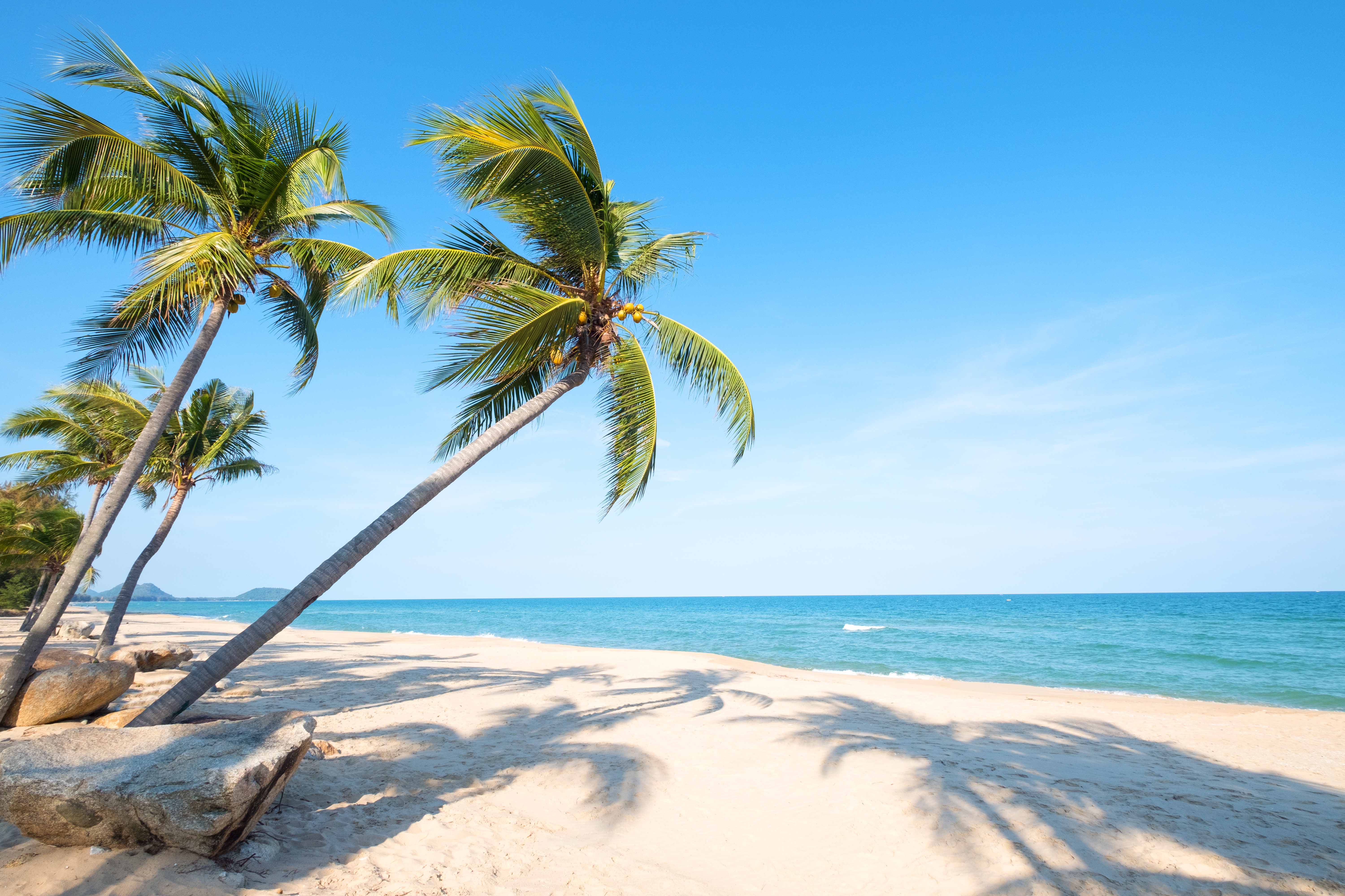 Free download wallpaper Nature, Beach, Sand, Horizon, Ocean, Earth, Tropical, Palm Tree on your PC desktop