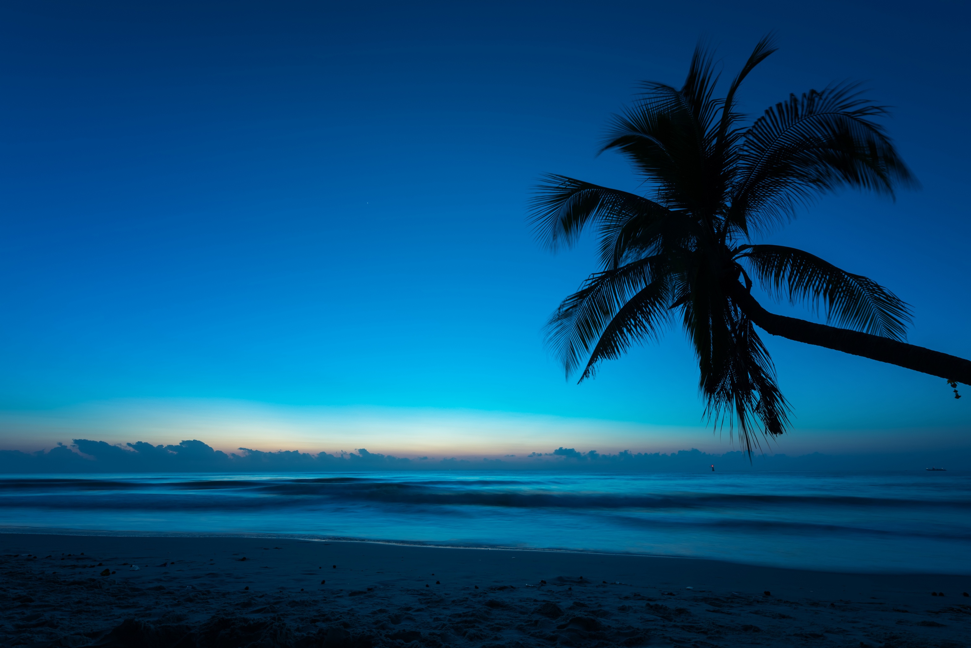 Free download wallpaper Nature, Sky, Horizon, Ocean, Earth, Palm Tree on your PC desktop
