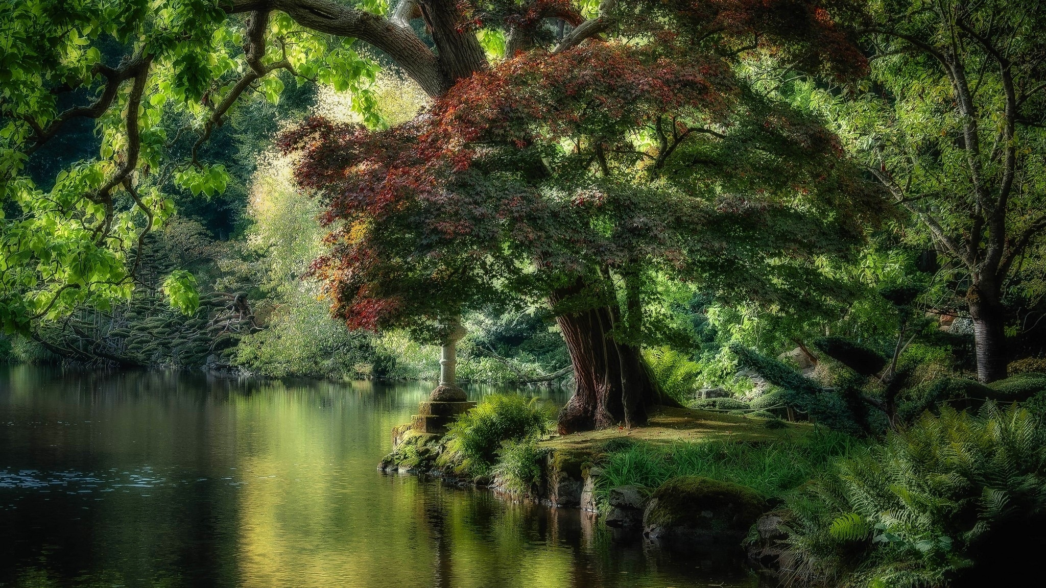 Free download wallpaper Trees, Tree, Earth, River on your PC desktop