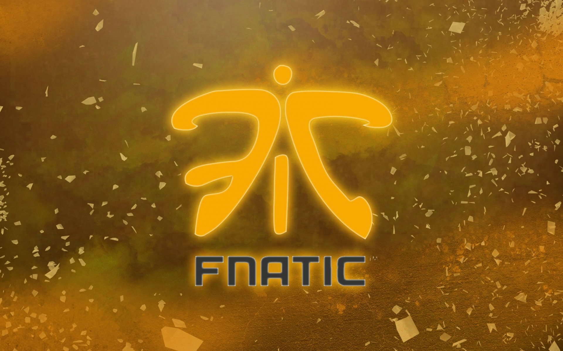 video game, fnatic, esports, gaming team