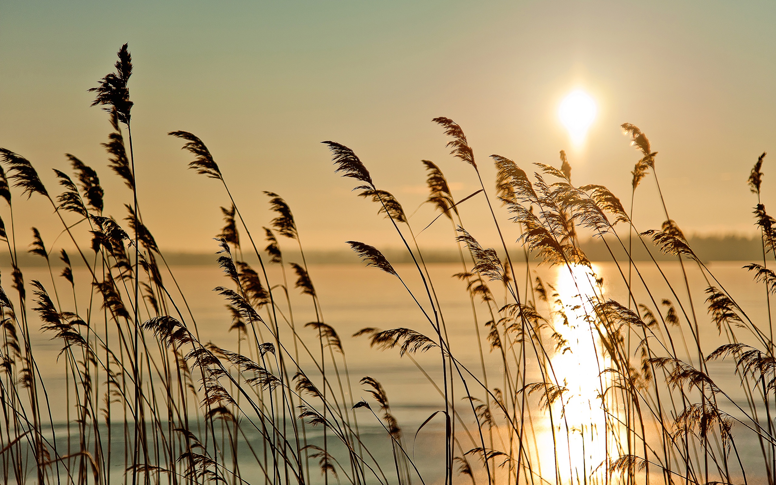 Téléchargez gratuitement l'image Coucher De Soleil, Terre/nature sur le bureau de votre PC