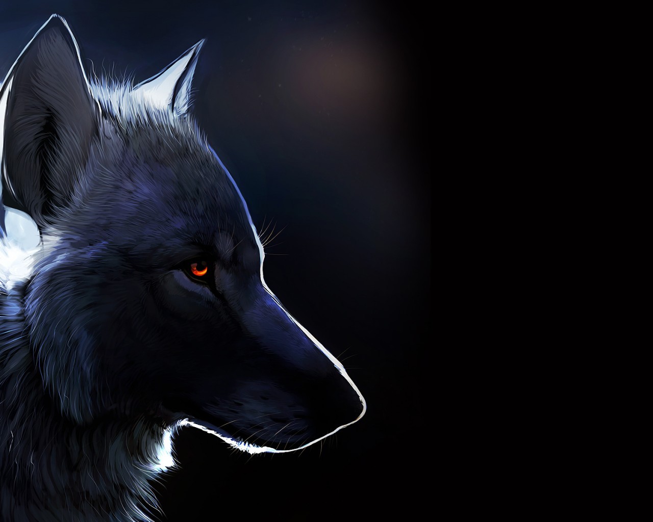 20193 descargar fondo de pantalla lobos, imágenes, animales, negro: protectores de pantalla e imágenes gratis
