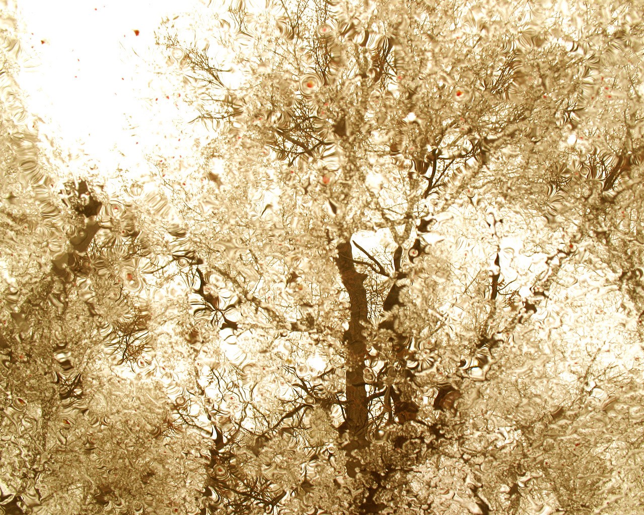 Descarga gratuita de fondo de pantalla para móvil de Lluvia, Fotografía.