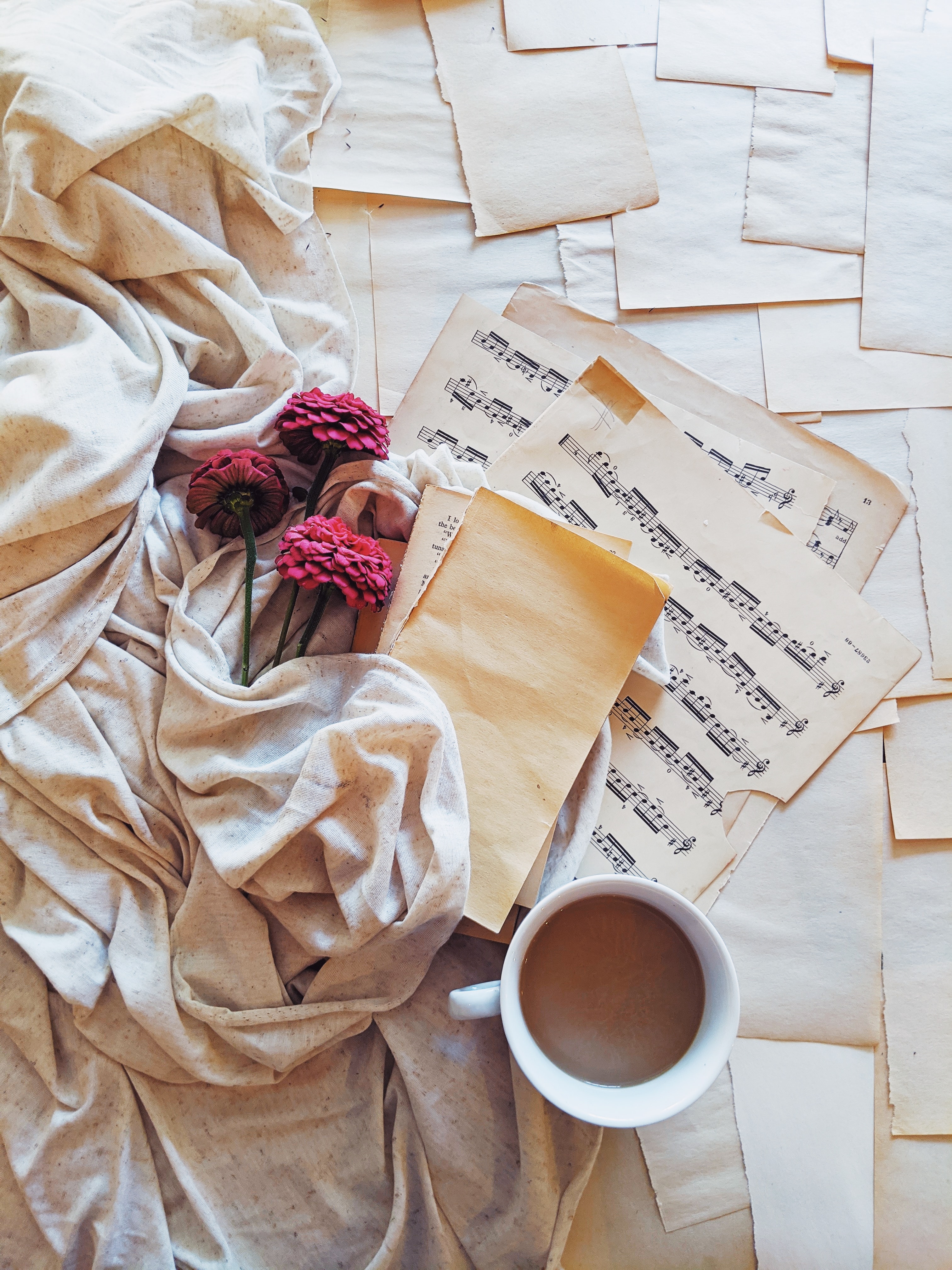 flowers, music, miscellanea, miscellaneous, cup, cloth, notes