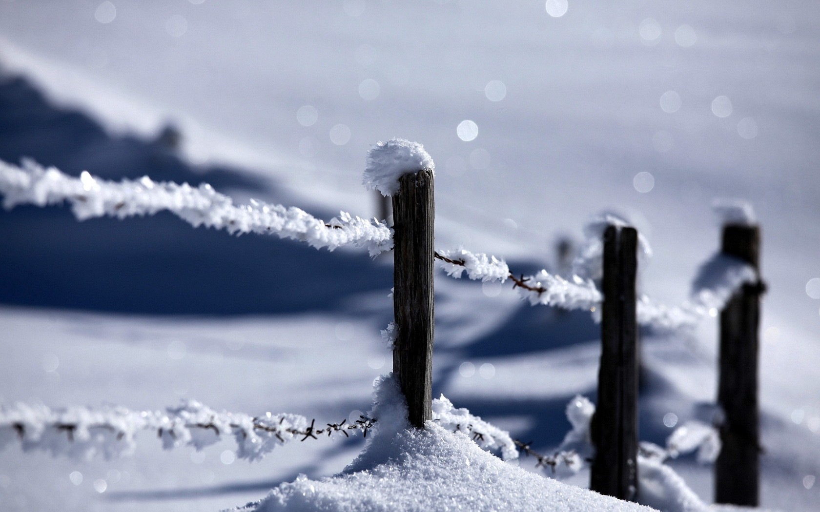 photography, winter, barb wire, fence, snow
