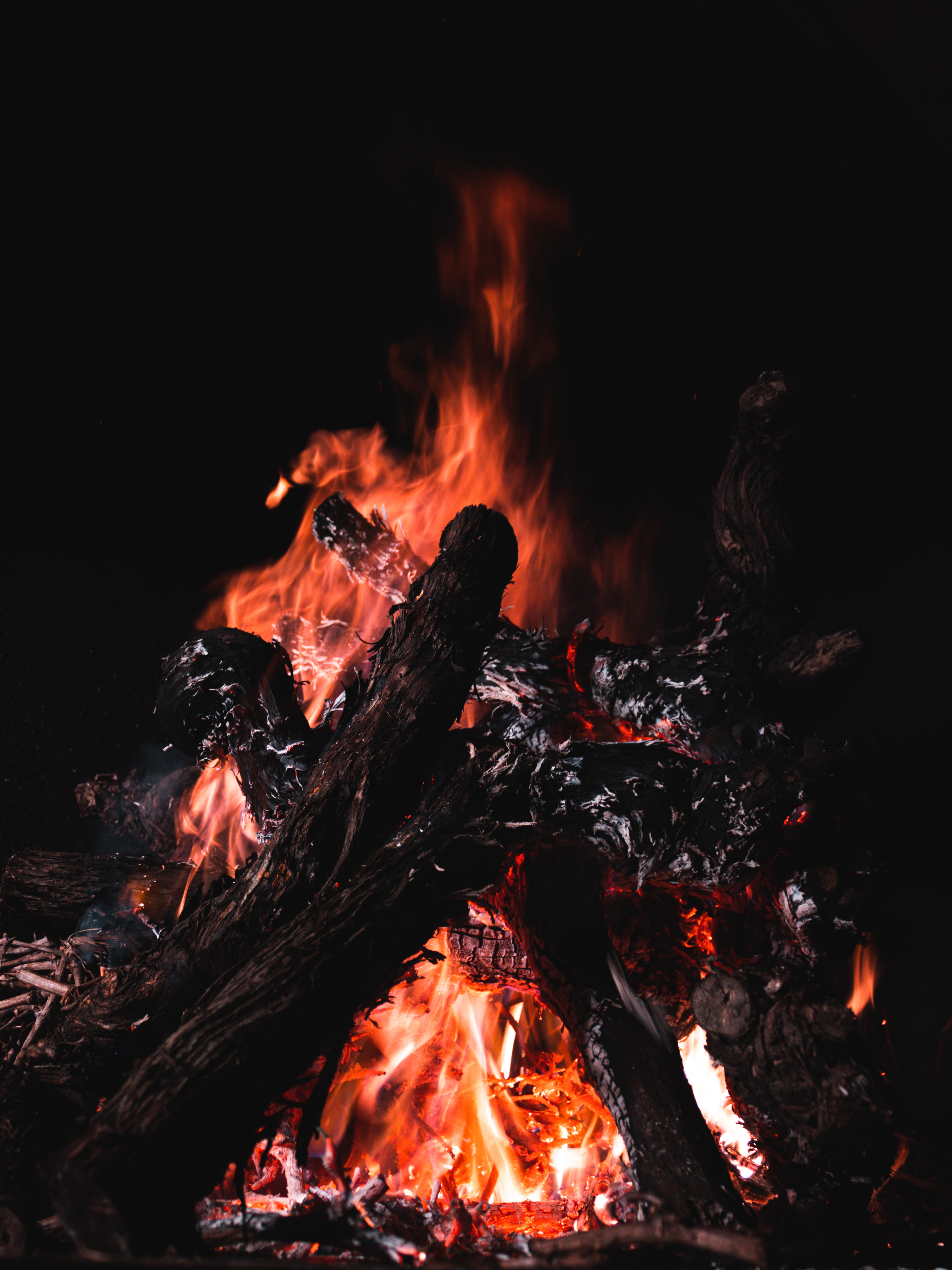 129791 Hintergrundbild herunterladen feuer, bonfire, kohlen, dunkel, brennholz - Bildschirmschoner und Bilder kostenlos