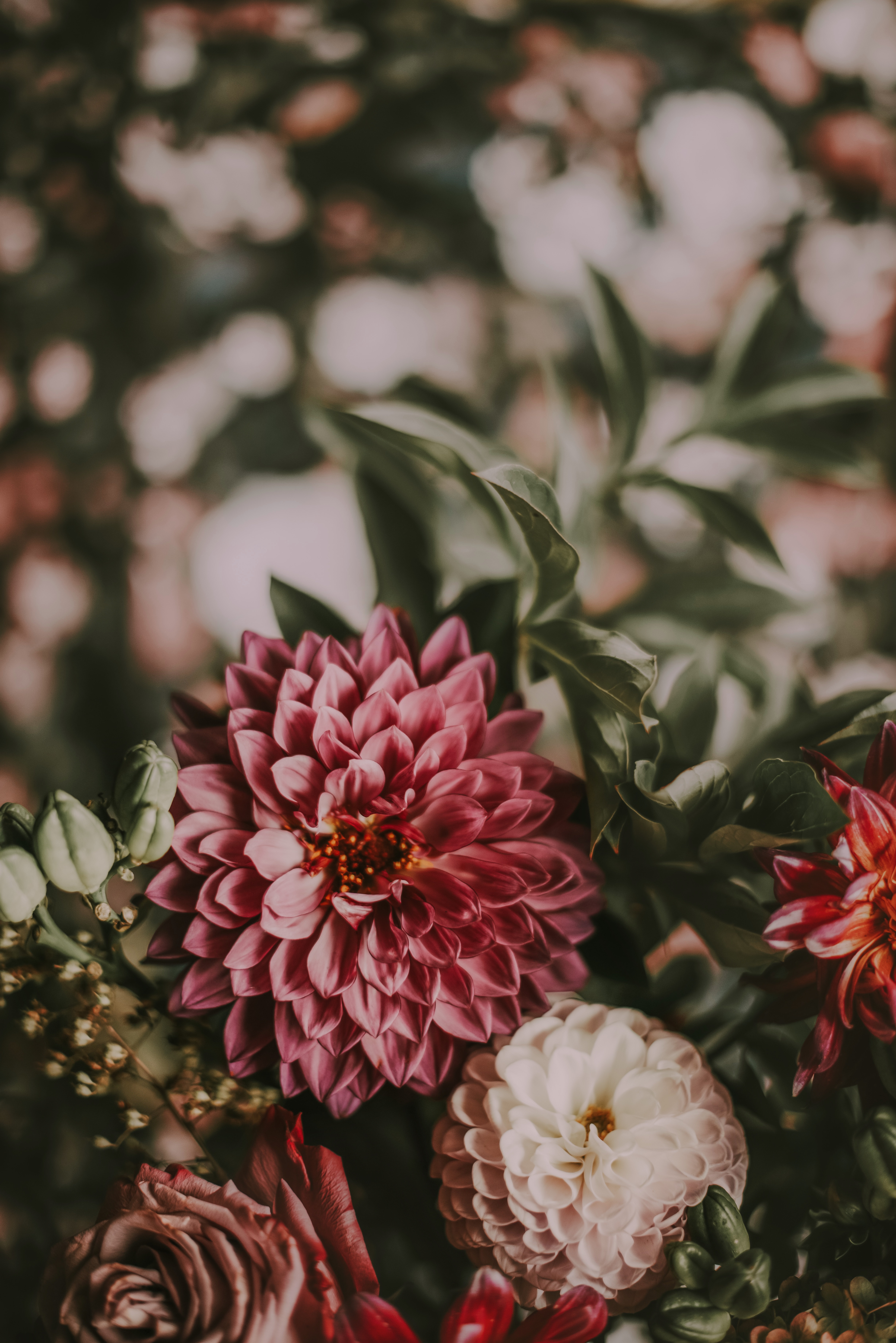 Laden Sie das Strauß, Komposition, Zusammensetzung, Blumen, Bouquet, Rosa-Bild kostenlos auf Ihren PC-Desktop herunter