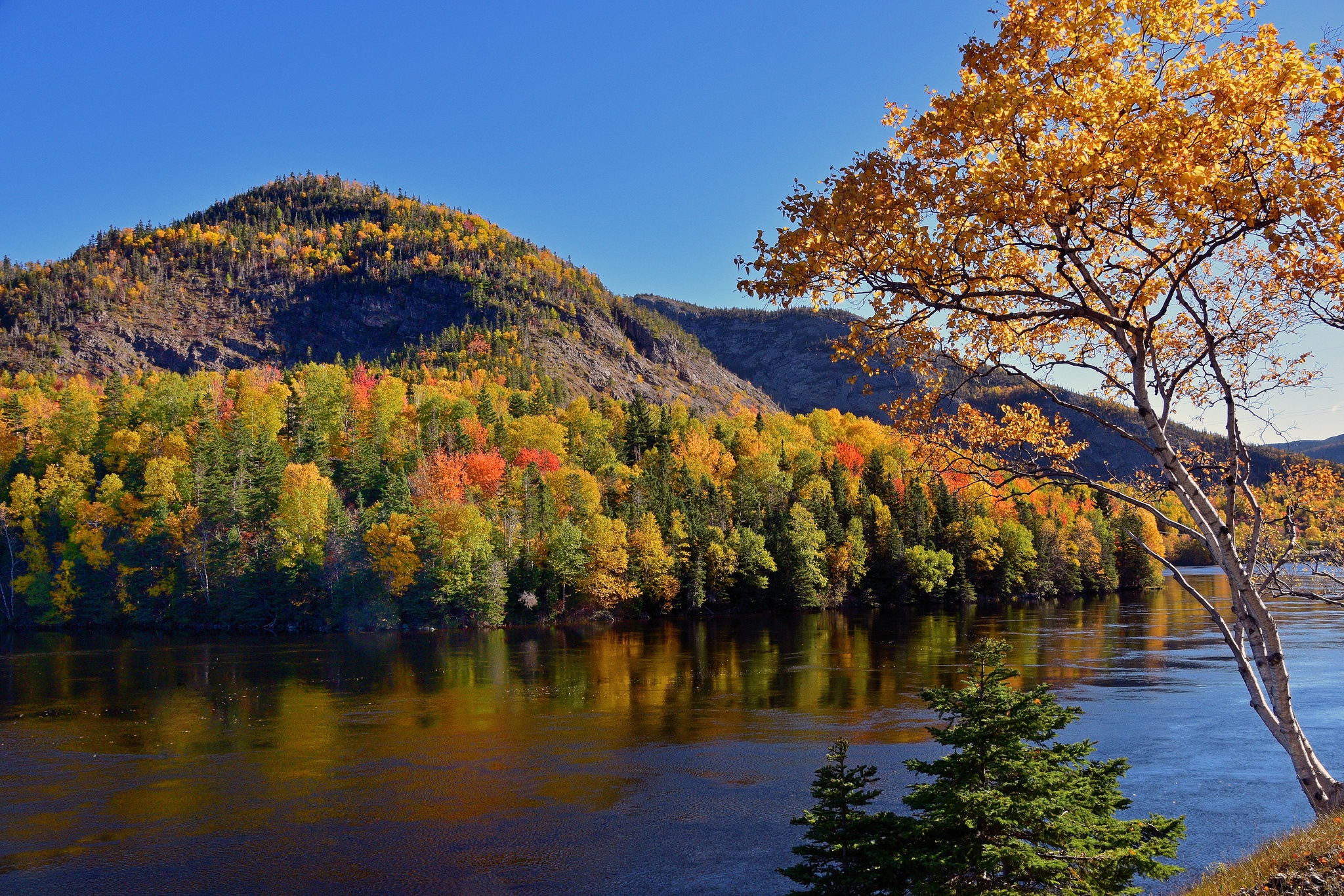 Laden Sie das Natur, Wald, Baum, Fluss, Erde/natur-Bild kostenlos auf Ihren PC-Desktop herunter