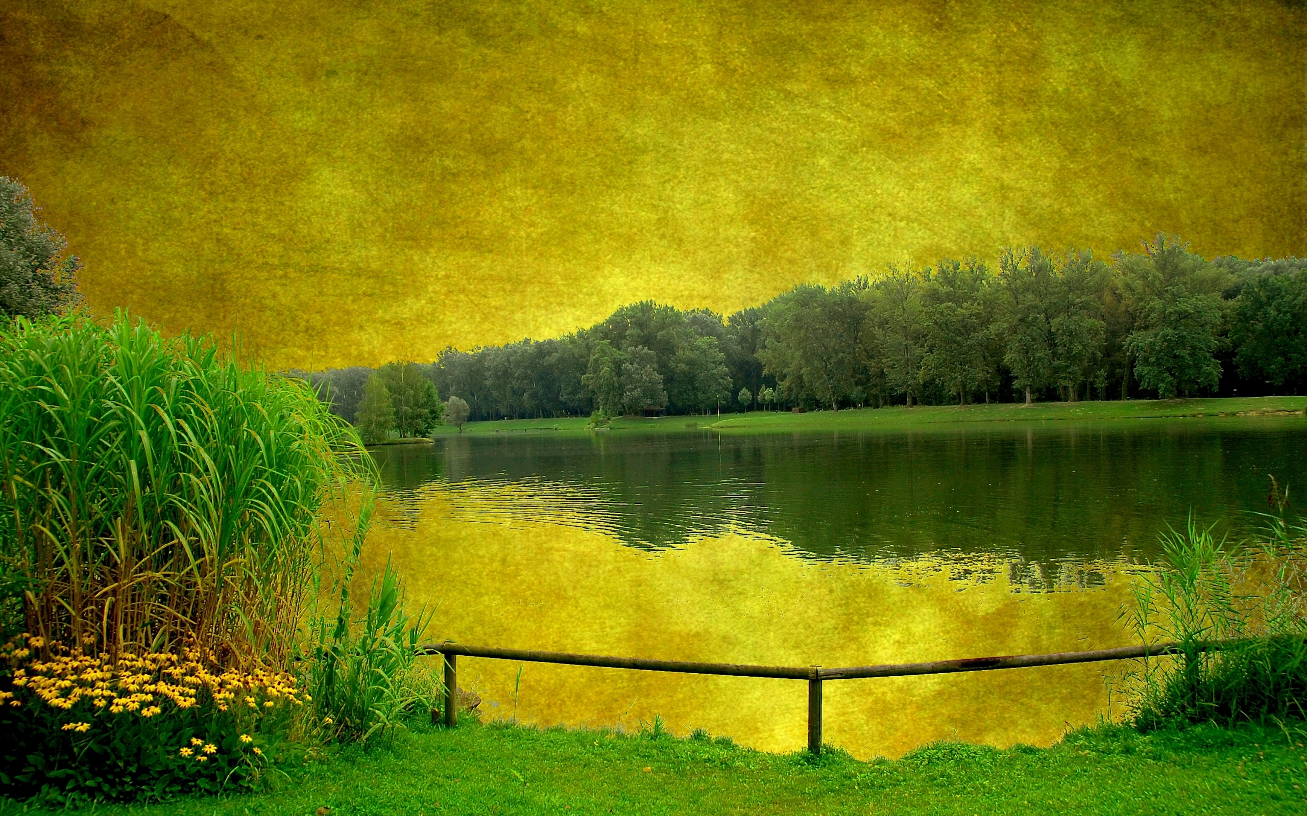 Free download wallpaper Landscape, Water, Art, Plants on your PC desktop