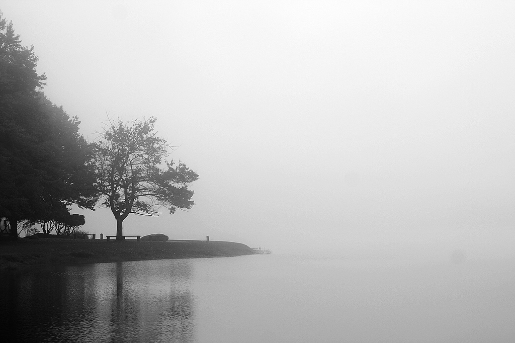 Laden Sie das Wasser, Nebel, Erde/natur-Bild kostenlos auf Ihren PC-Desktop herunter