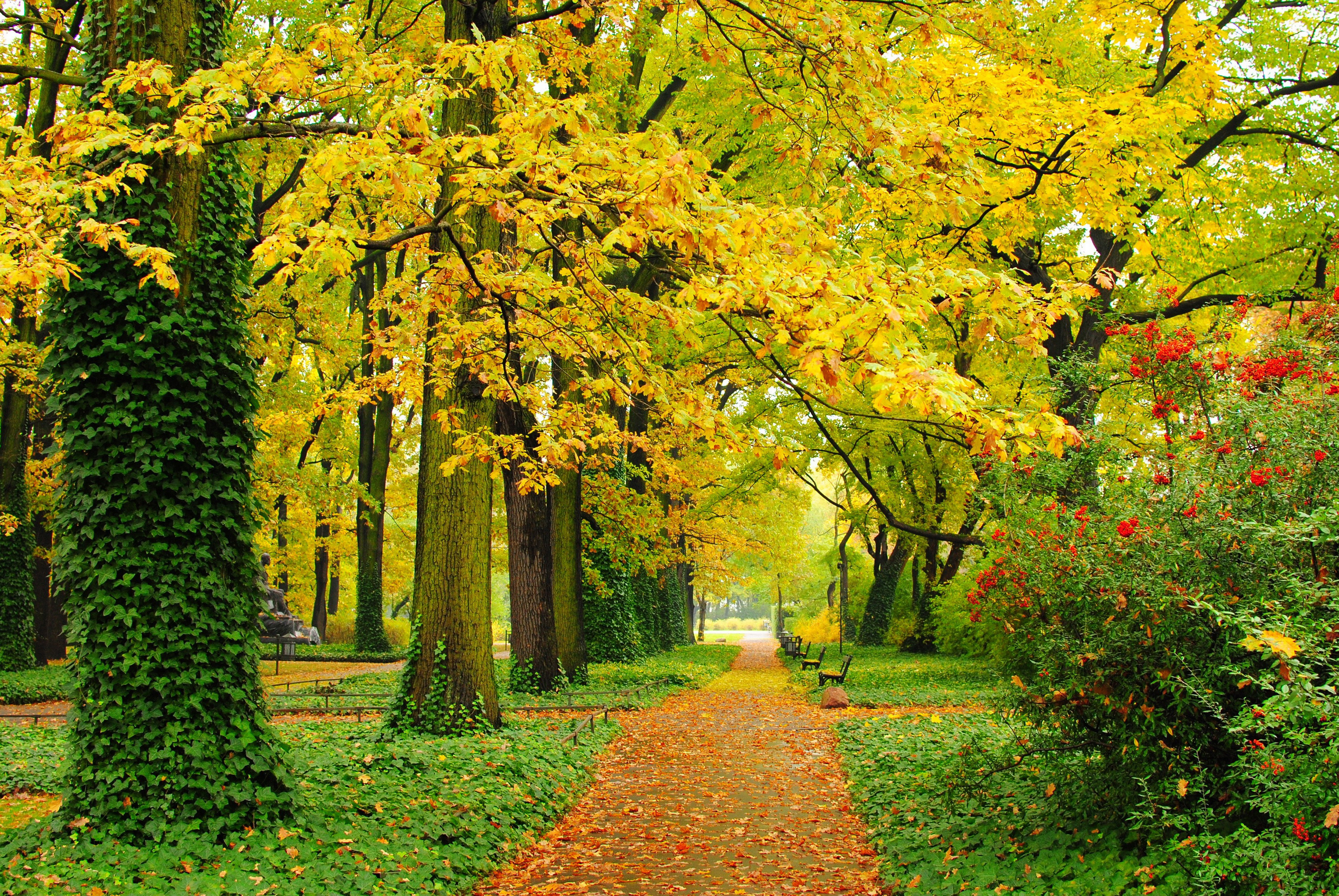 Free download wallpaper Park, Fall, Path, Bench, Photography on your PC desktop