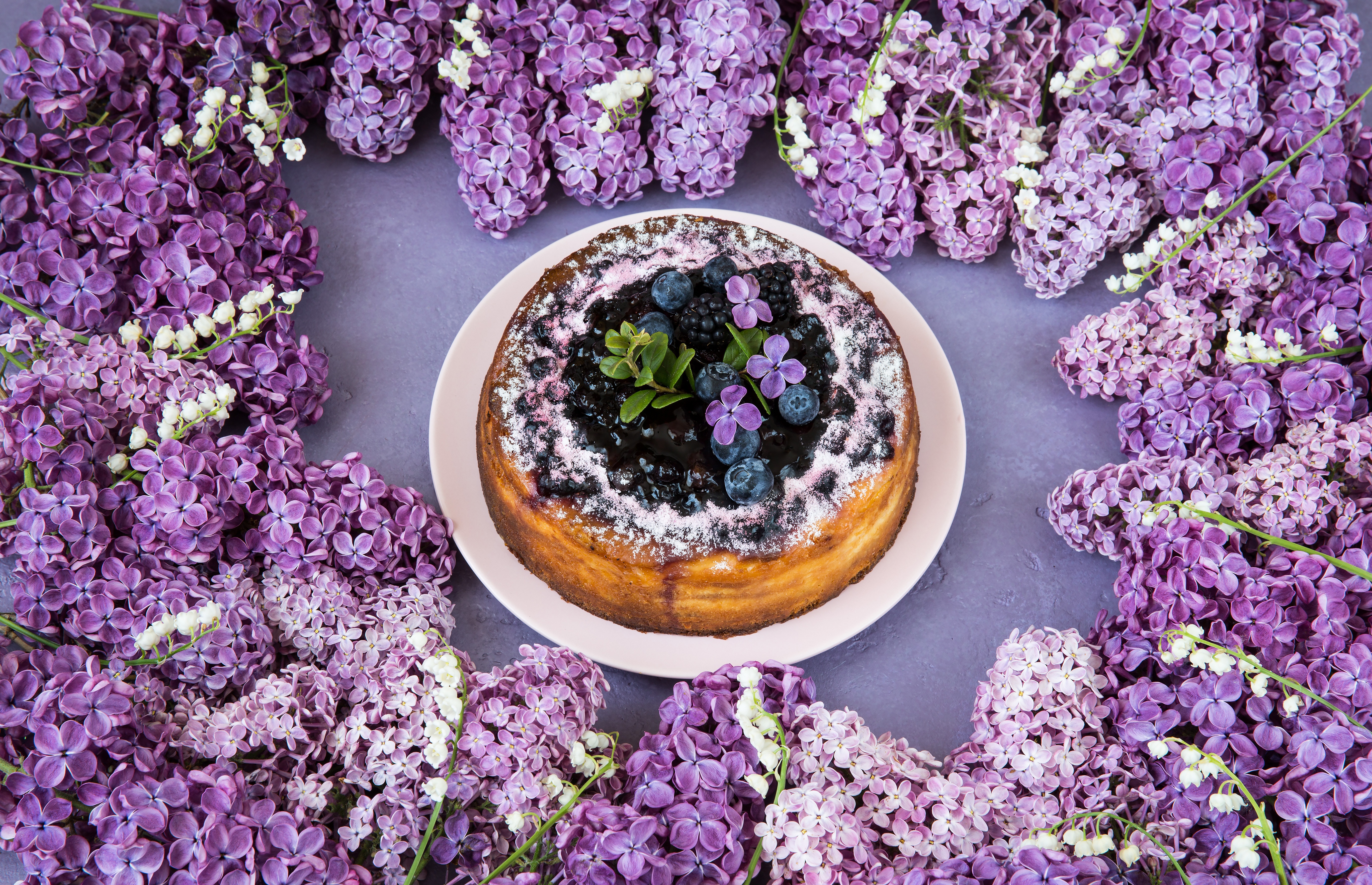 Handy-Wallpaper Dessert, Blume, Kuchen, Nahrungsmittel, Pinke Blume, Flieder kostenlos herunterladen.